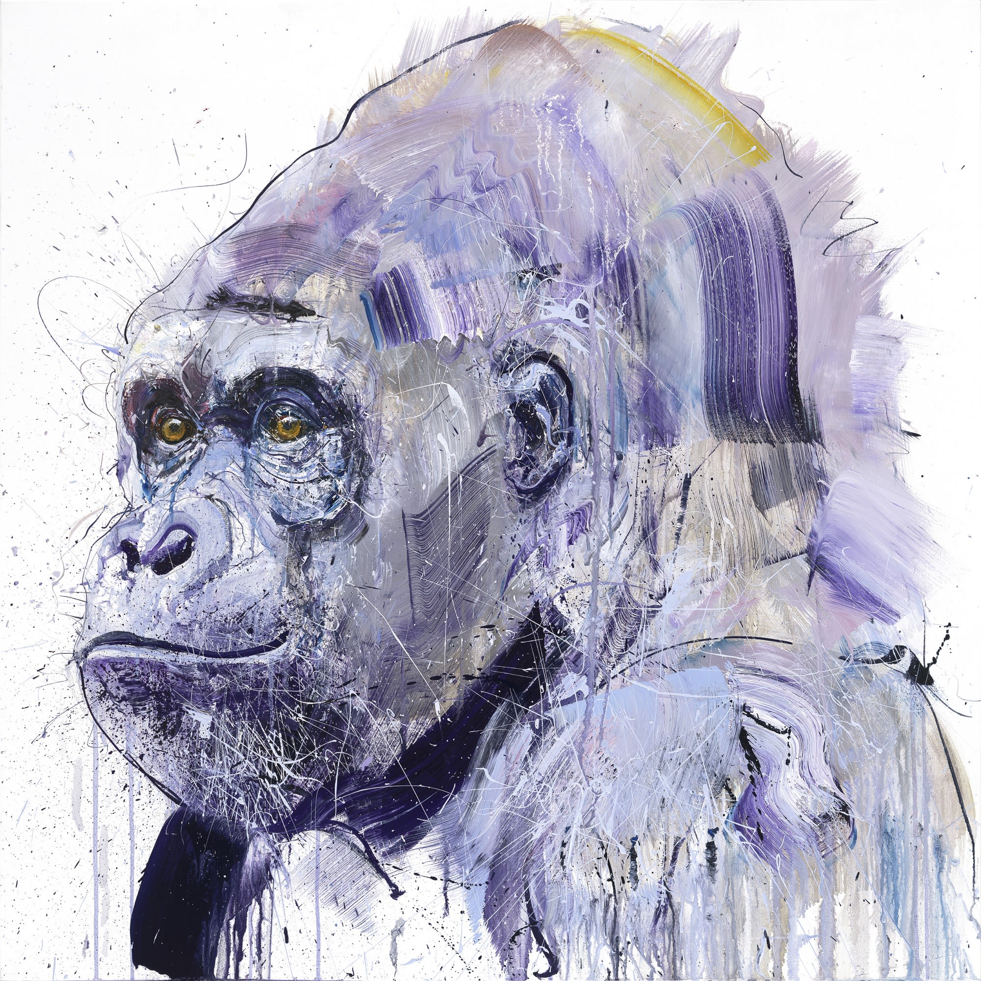 Silverback VII, Oil on Belgian Linen, 102cm x 102cm
