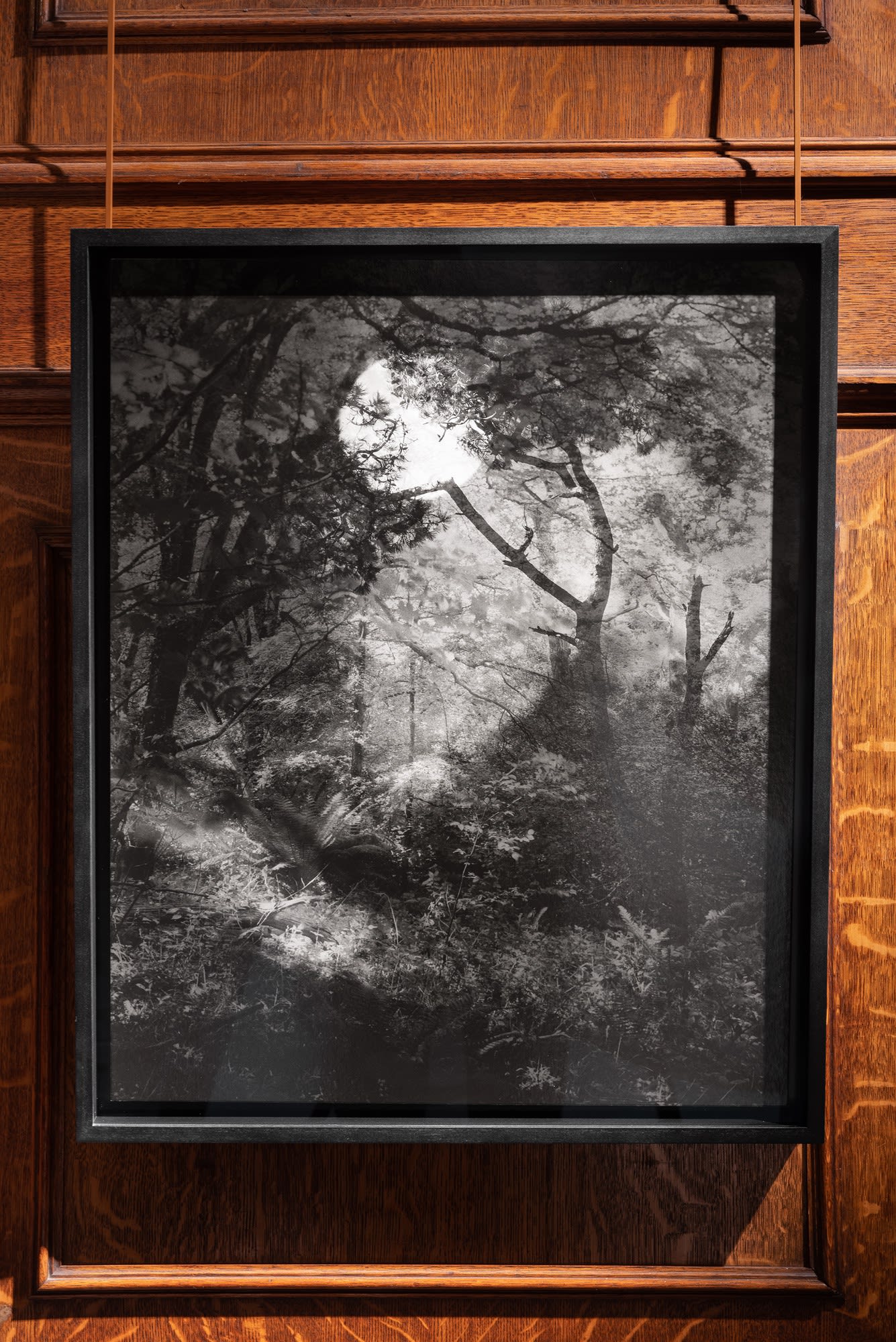 Eye of the Collector