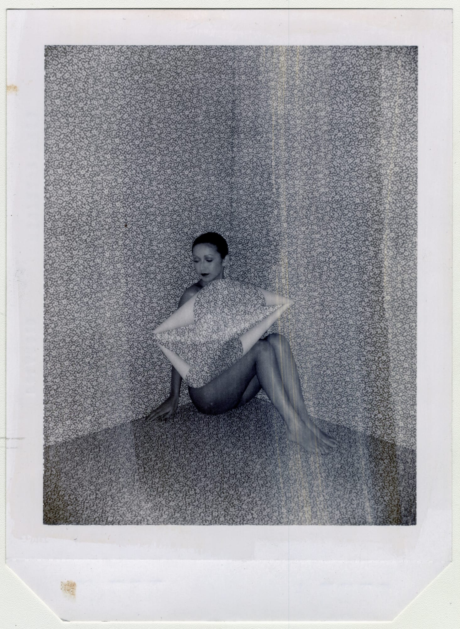 © David Bailey