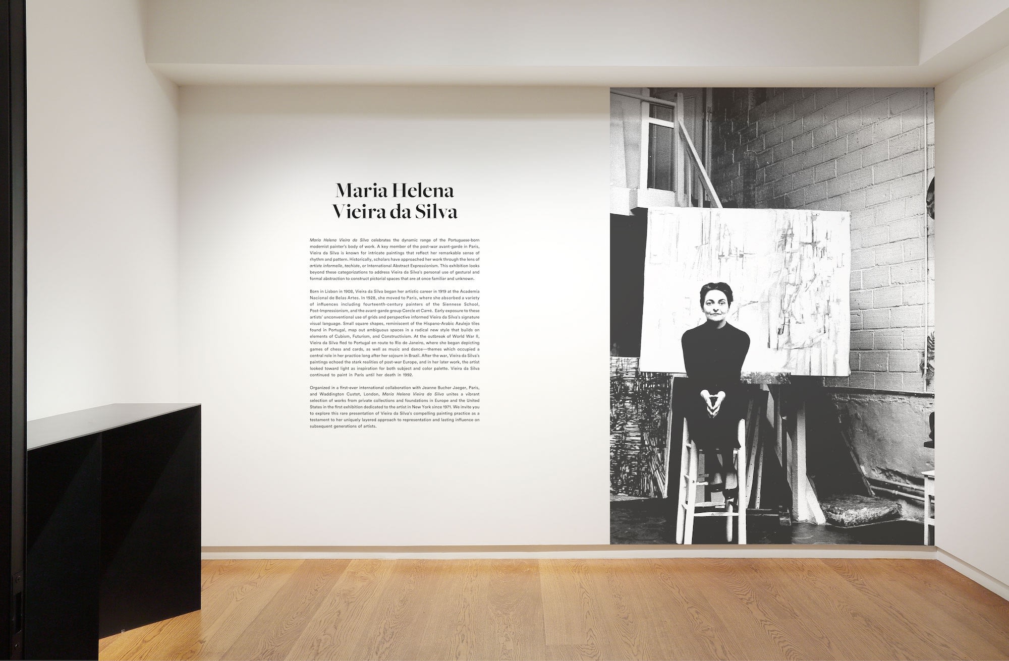 Vieira da Silva Entrance Introduction Text Image