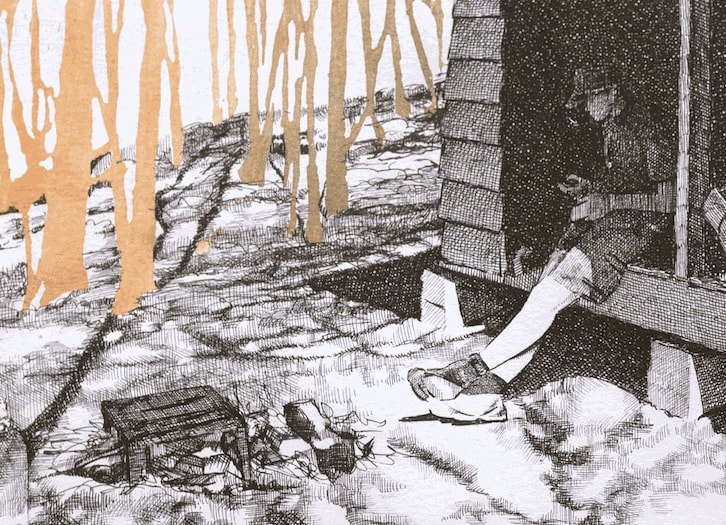 Sarah Kaizar Knob Maul Shelter, Virginia, [37.0008, -8140446], 2017 (detail)