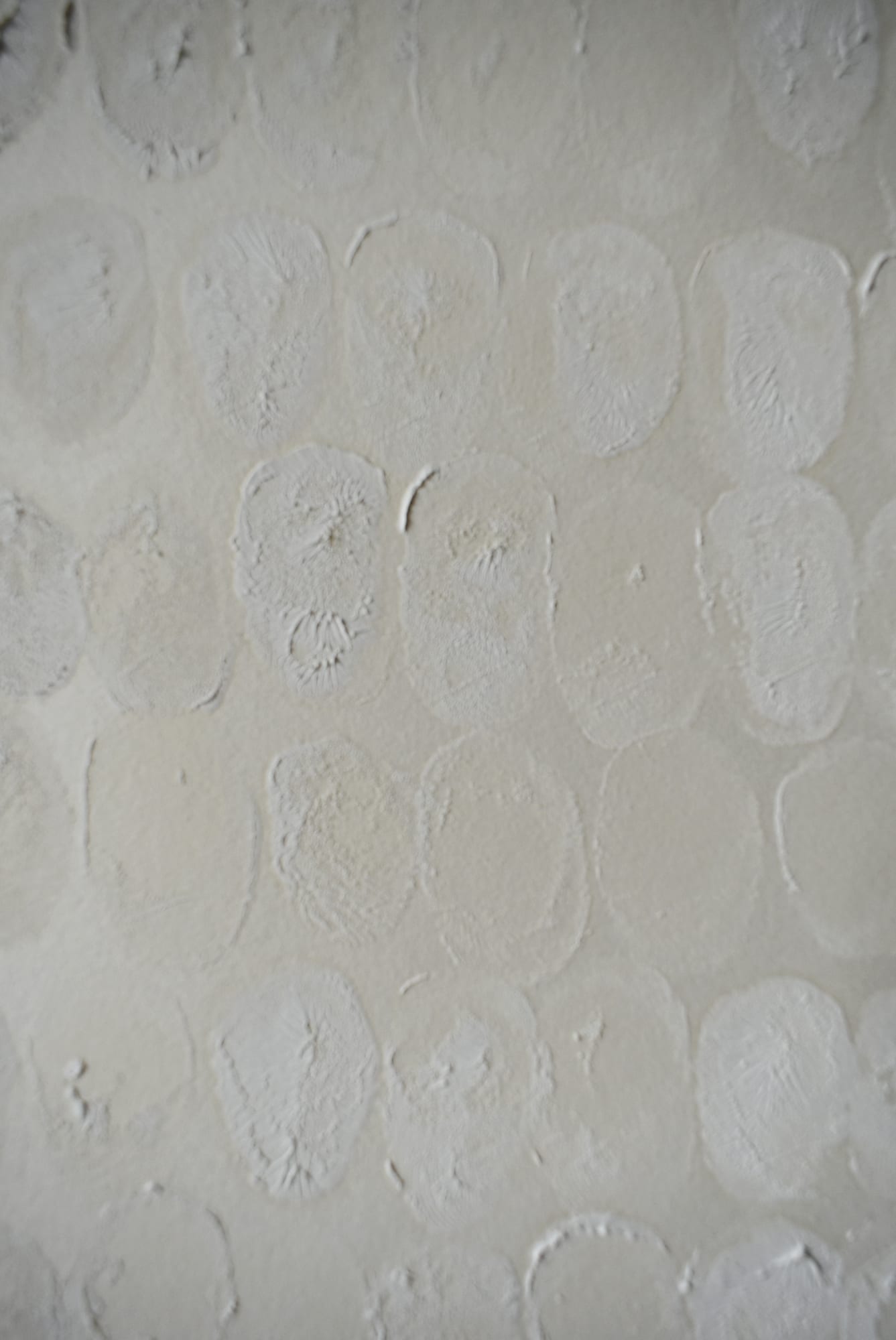 Suji Kanneganti Breathing, 2021 (detail)