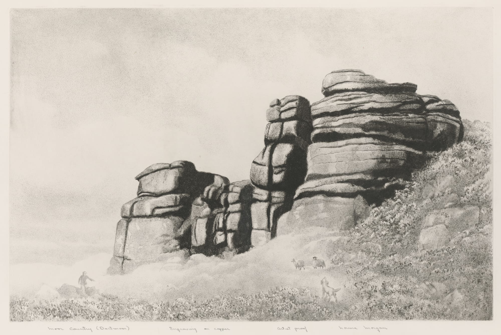 Norma Morgan, Moor Country (Dartmoor)