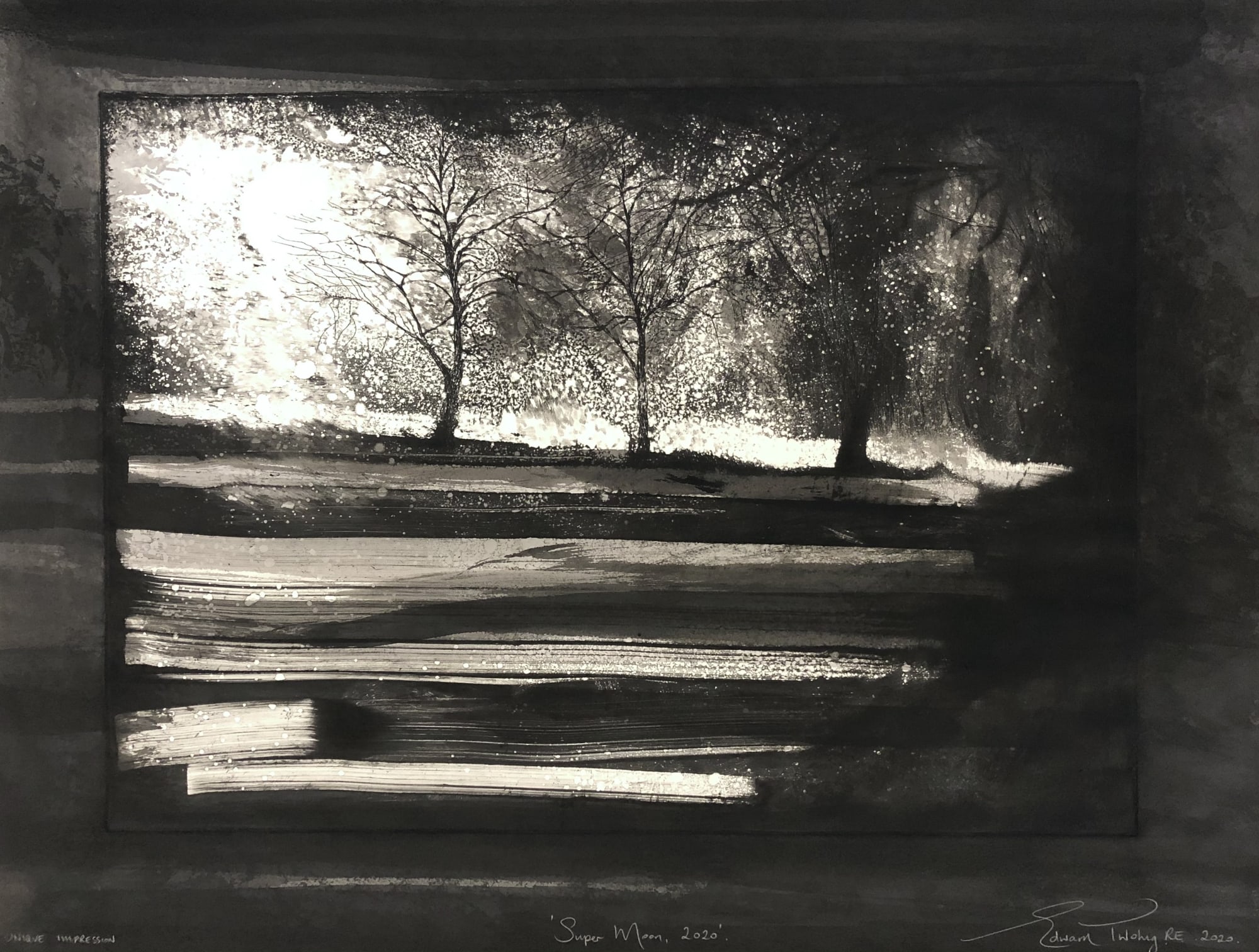 Edward Twohig, Super Moon 59, 2020