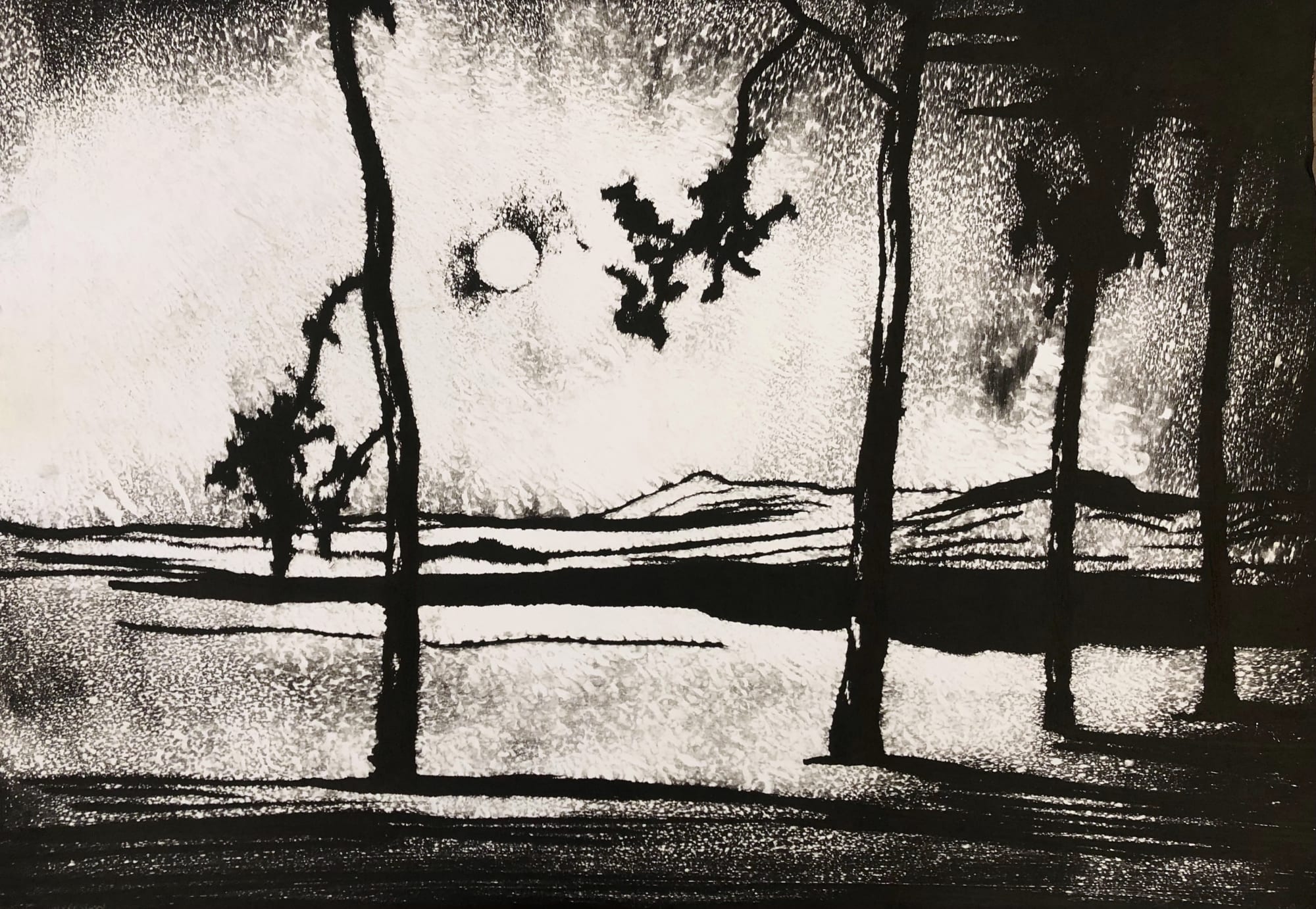 Edward Twohig, Super Moon 27, 2020