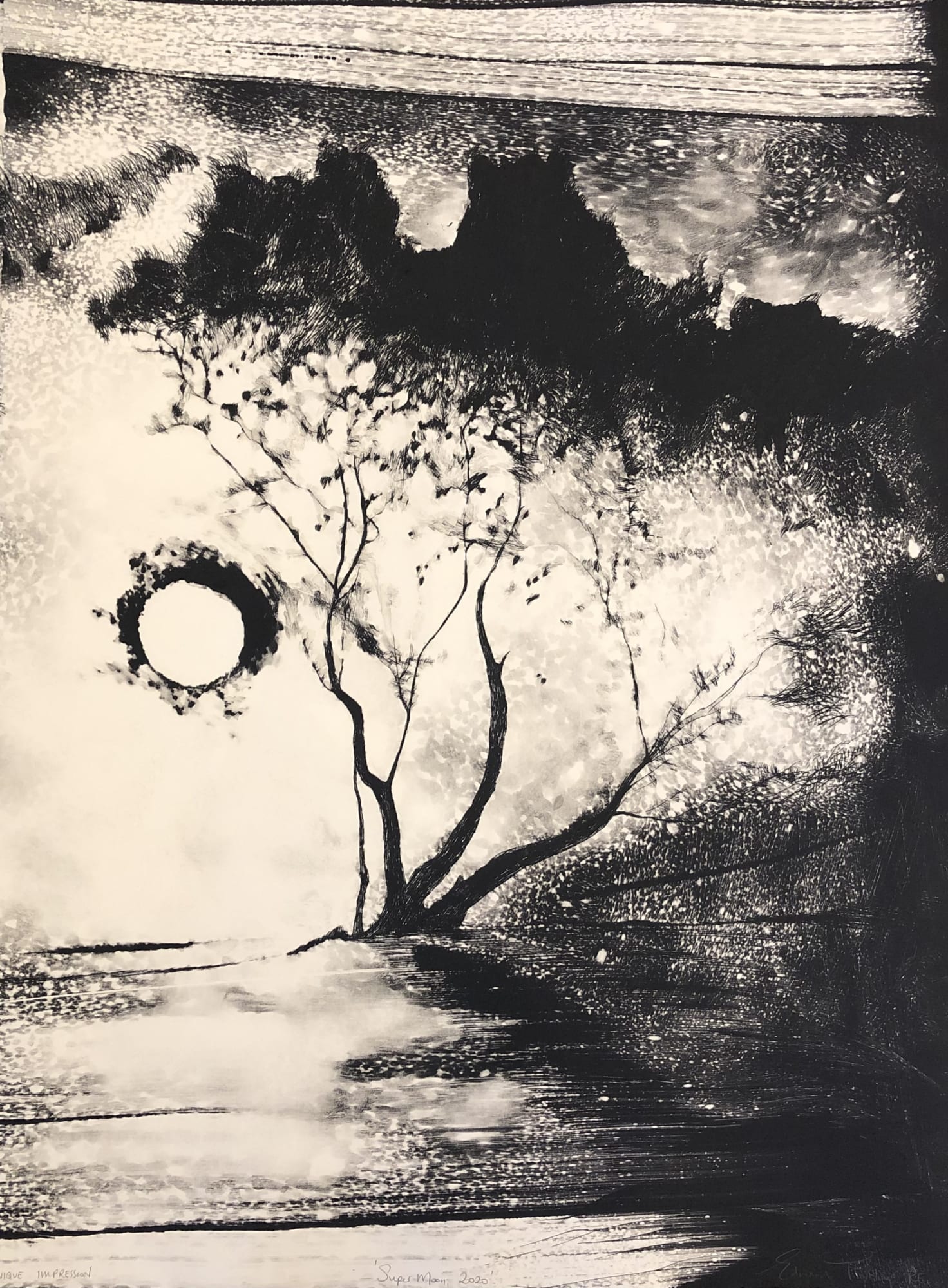 Edward Twohig, Super Moon 17.iii, 2020