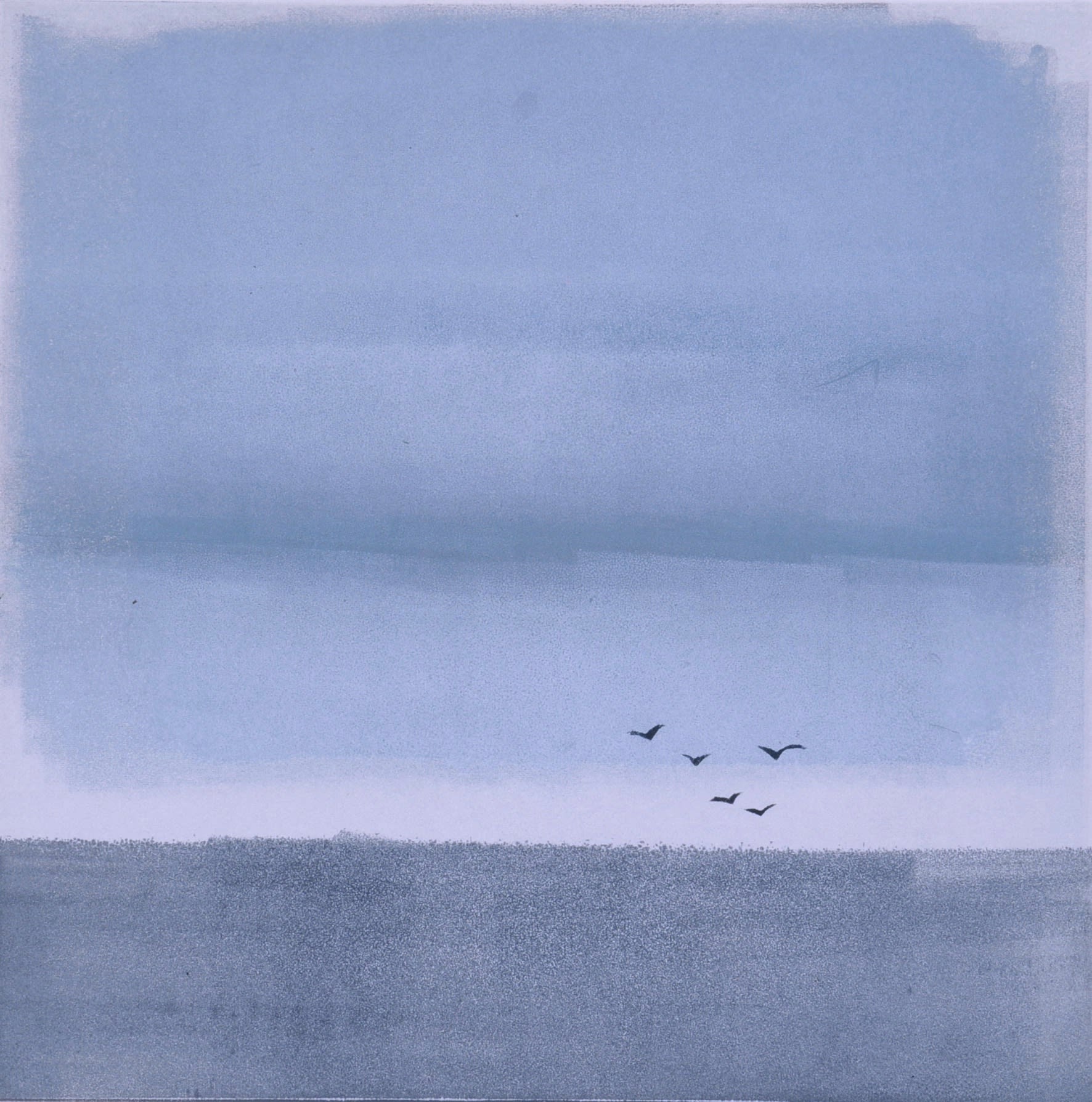 Nigel Swift, Sea Birds, 2021