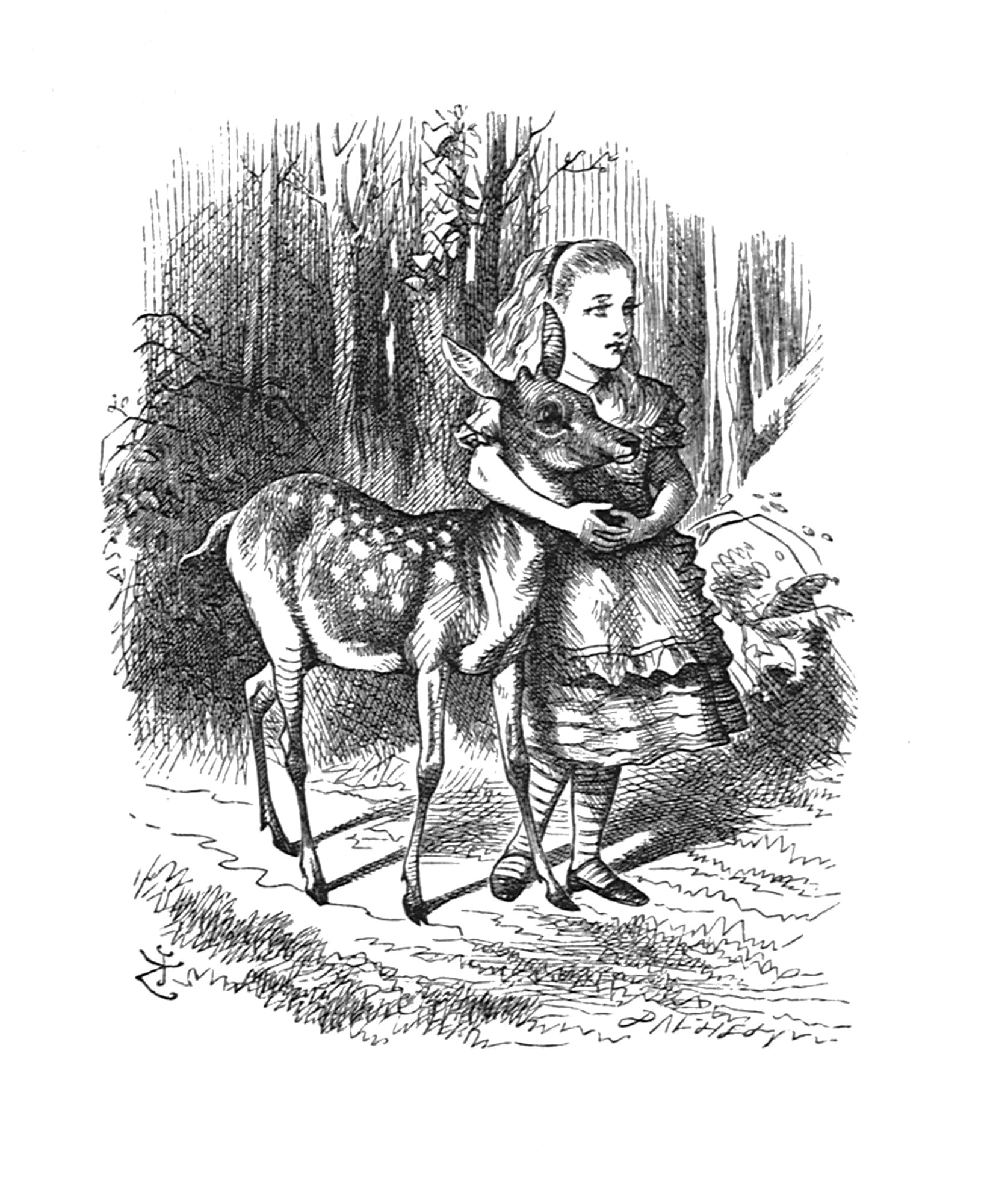 John Tenniel, So they walked on together through the wood..., 1988