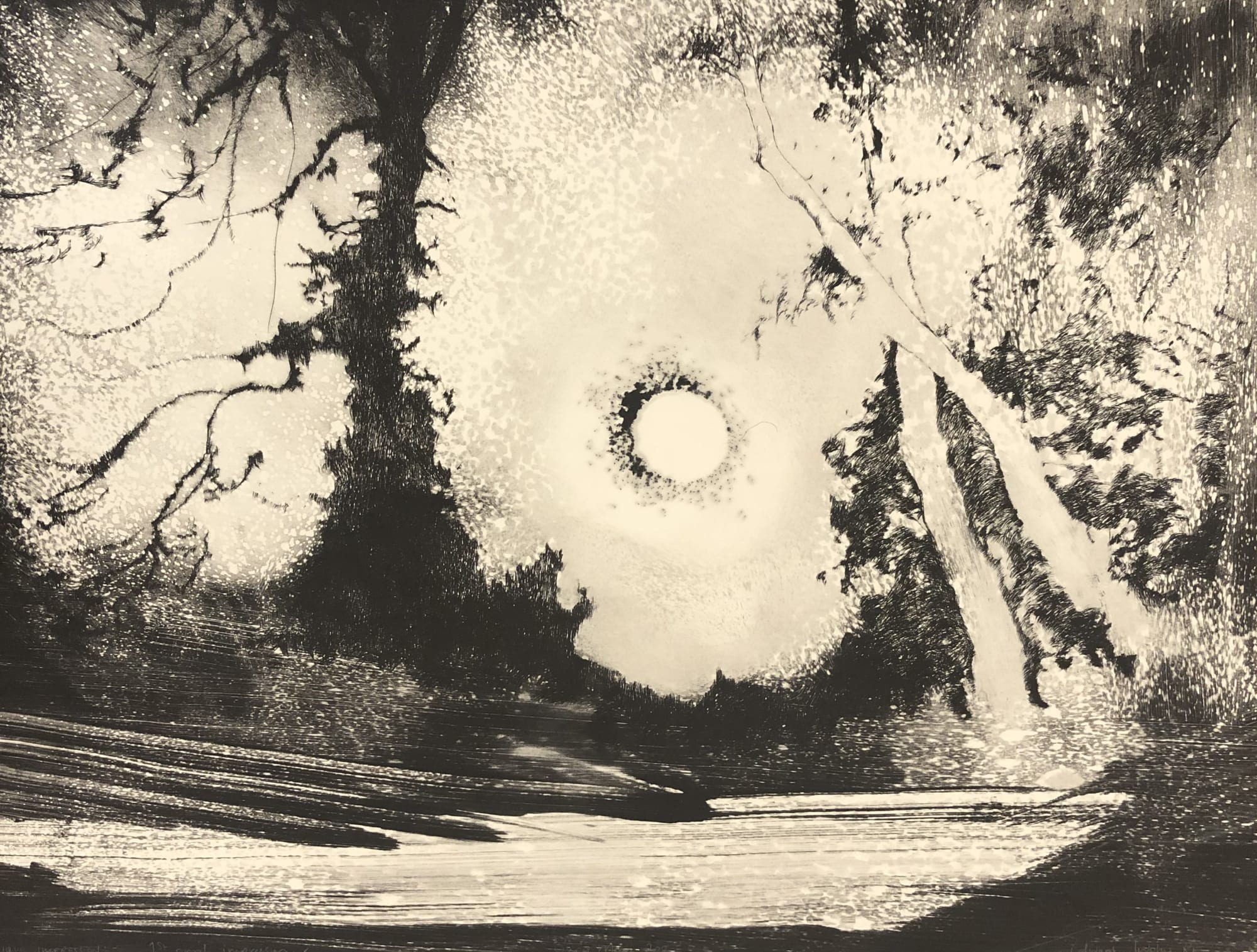 Edward Twohig, Super Moon 40.i, 2020