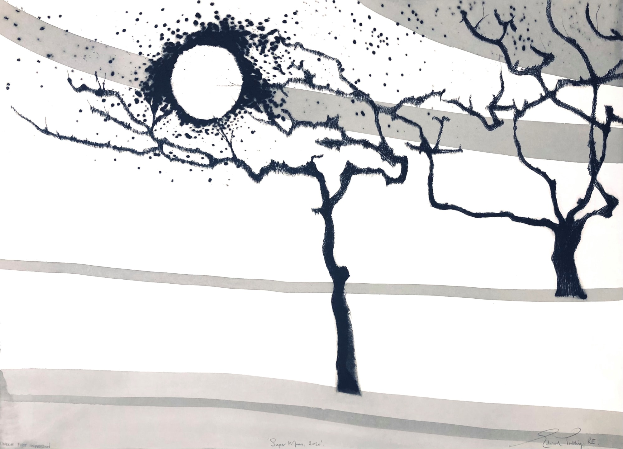 Edward Twohig, Super Moon 30.iii, 2020