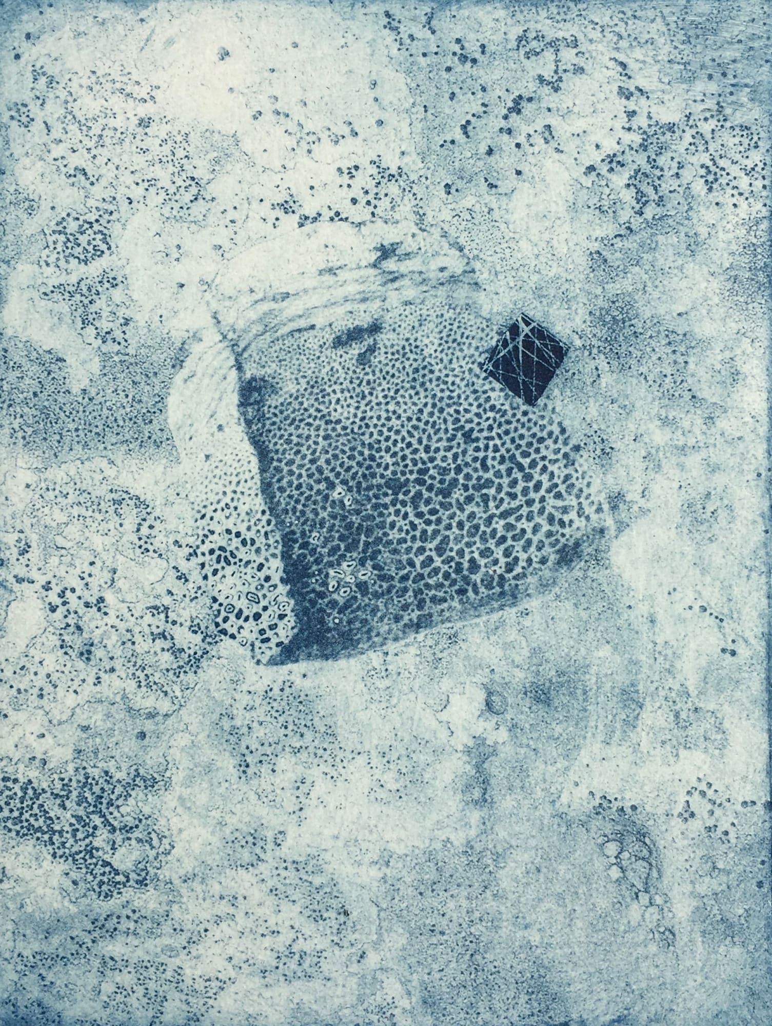 Rebecca Holmes, Collision, 2016