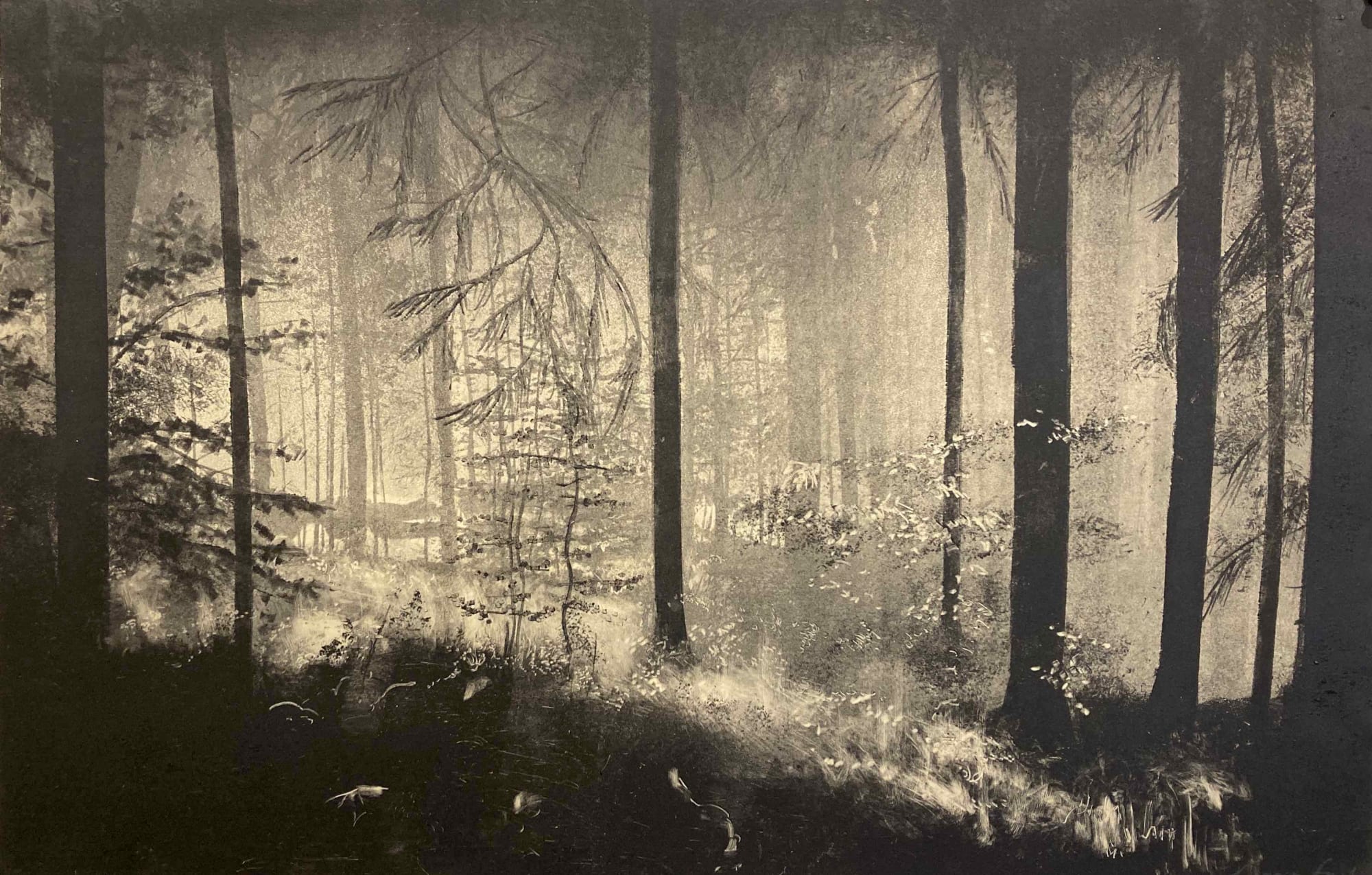 Fiona Fouhy, Discovering, 2023