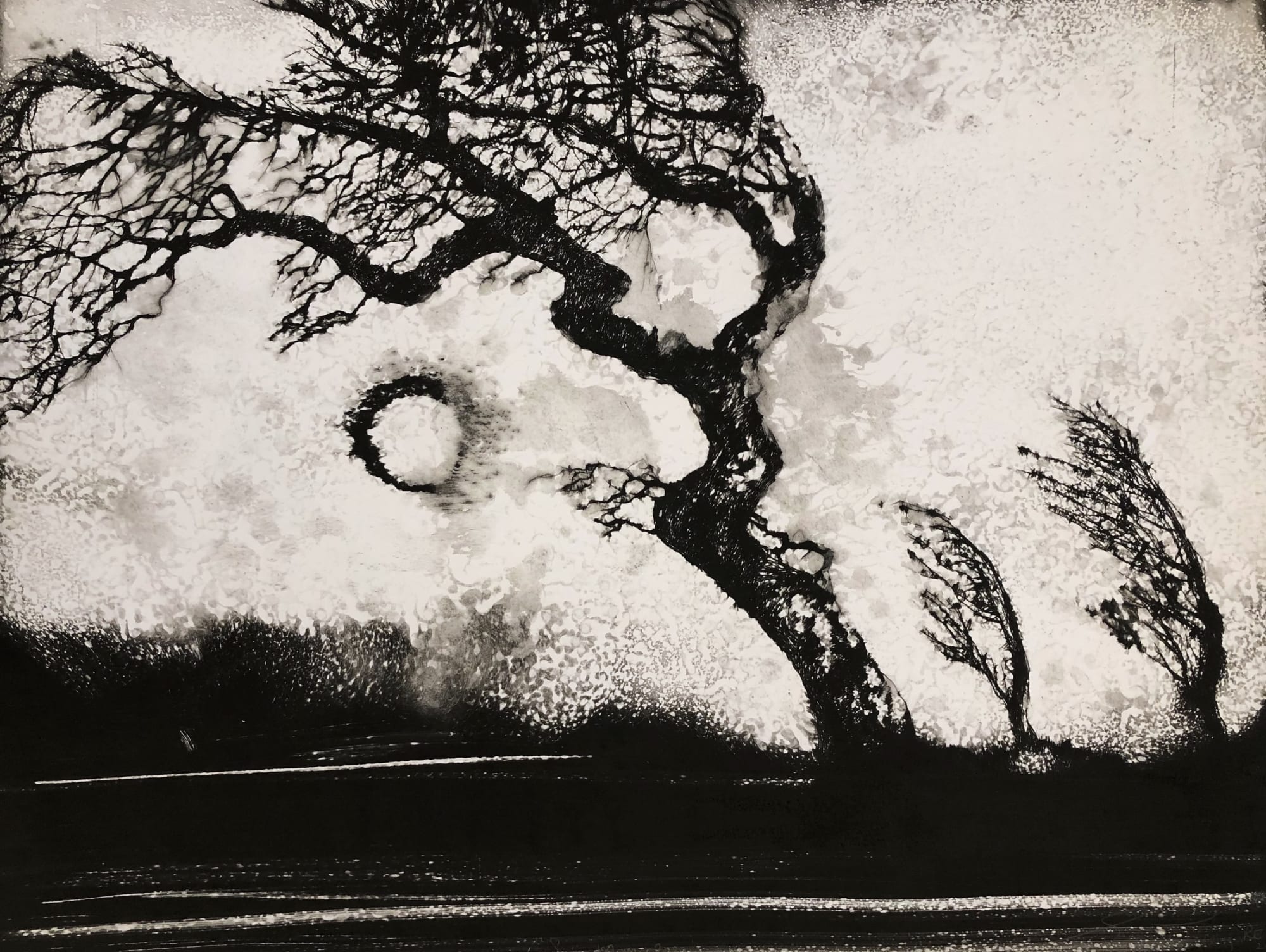 Edward Twohig, Super Moon 29, 2020