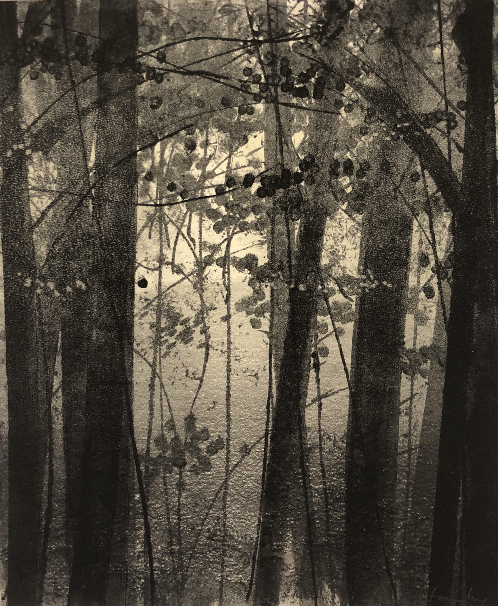 Fiona Fouhy, Hanging in There I, 2020