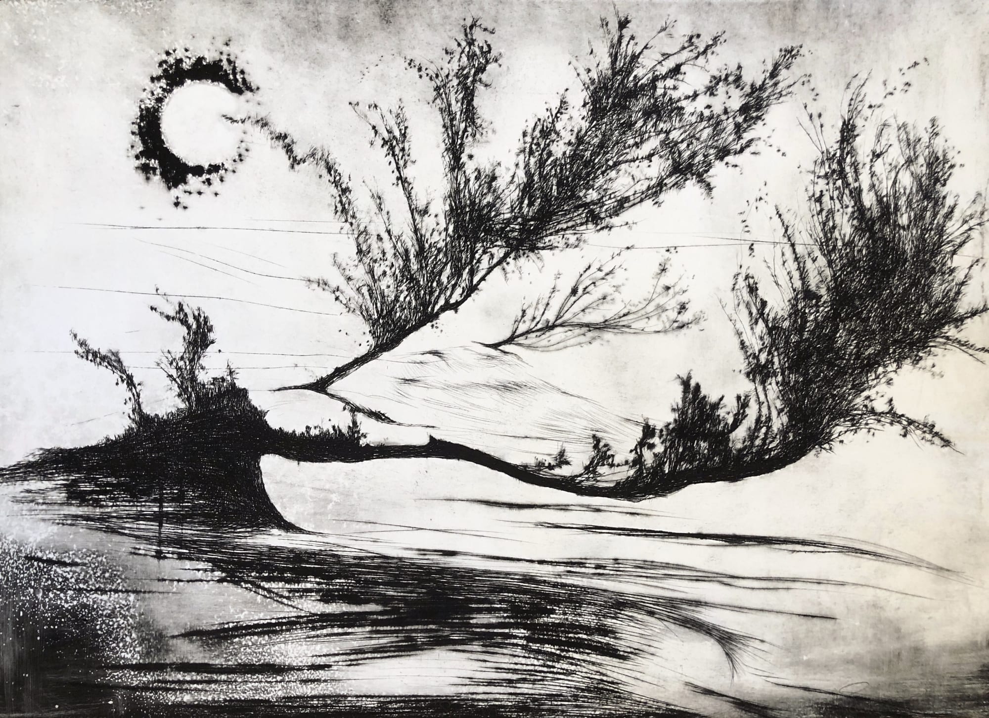 Edward Twohig, Super Moon 91, 2021