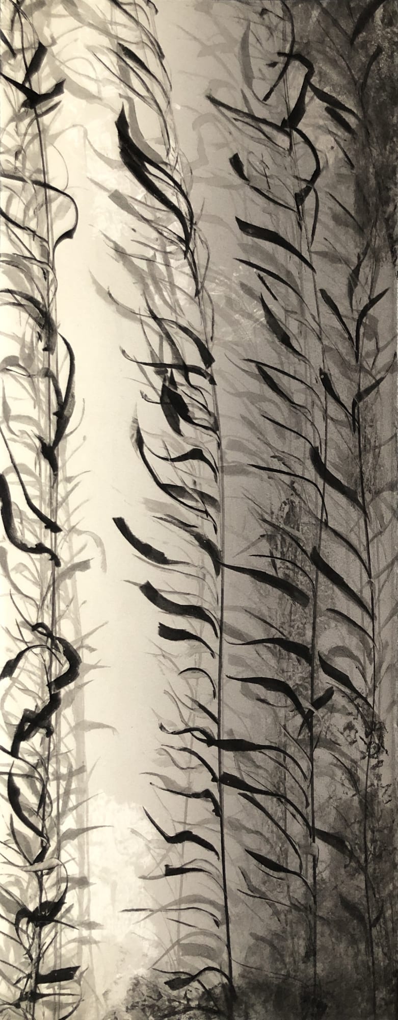 Fiona Fouhy, Immersed Forest II, 2019