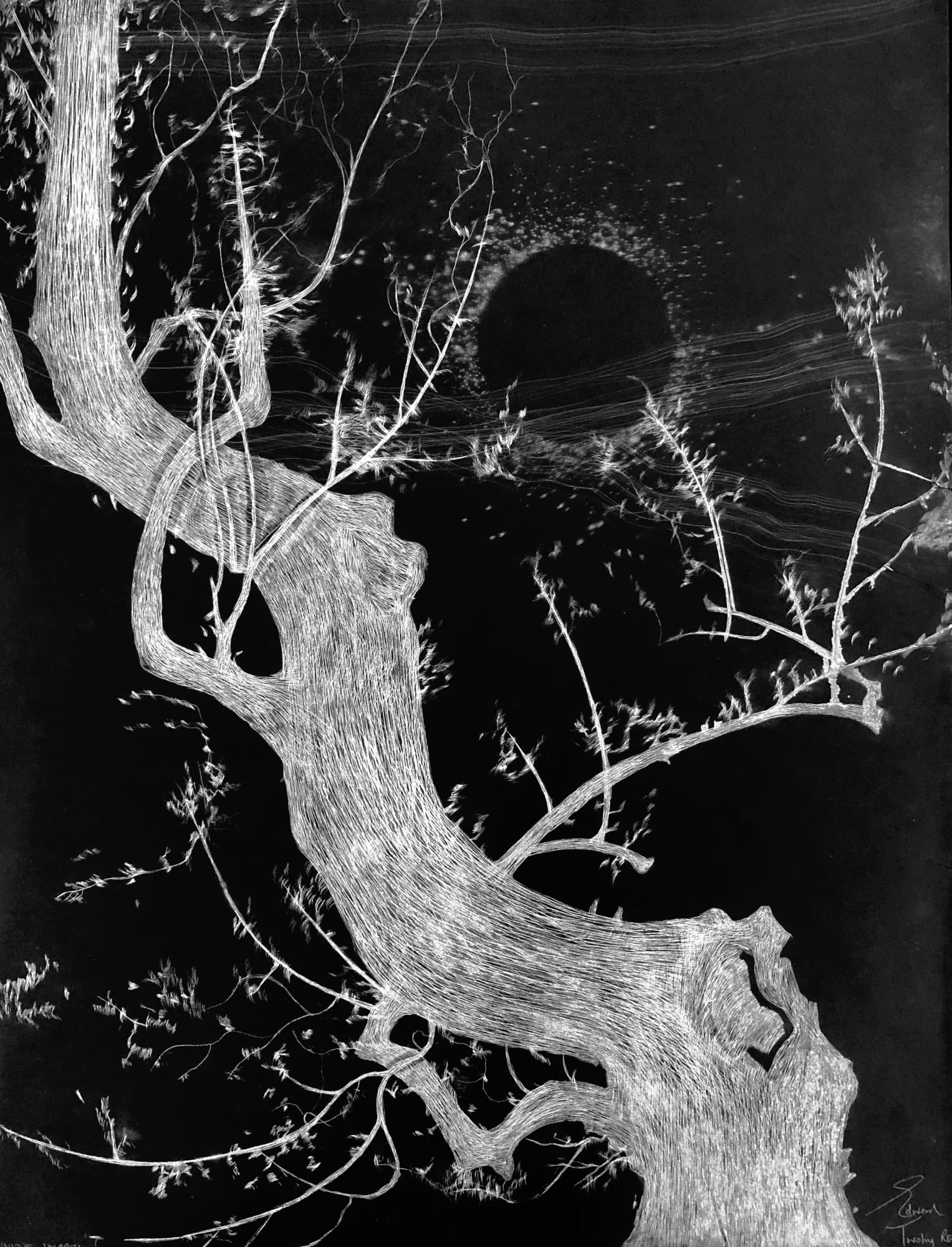 Edward Twohig, Super Moon 5.ii, 2020