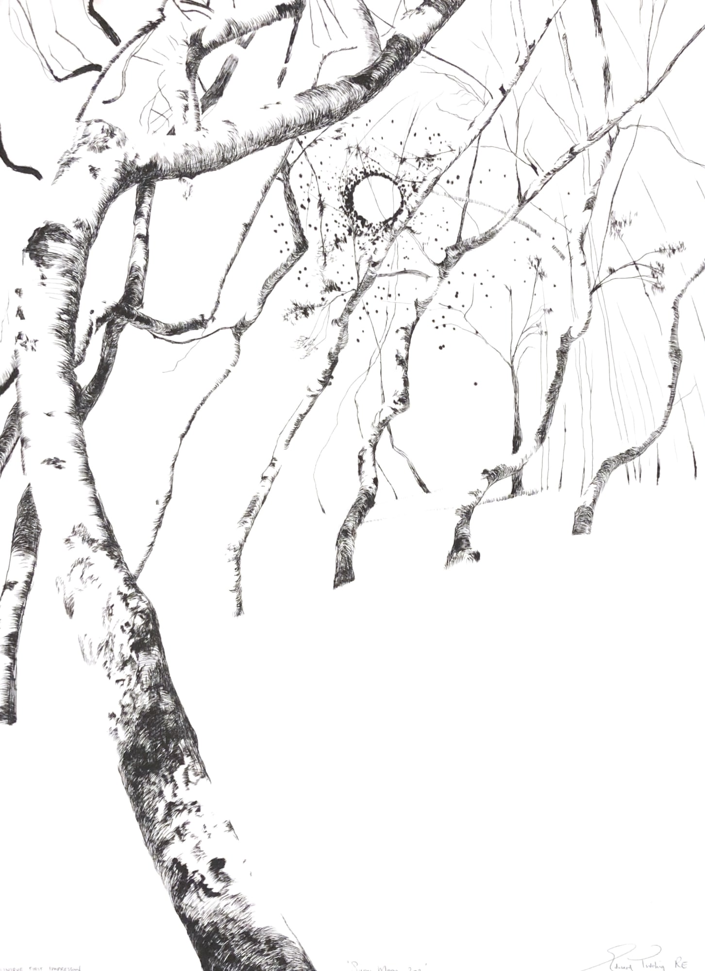 Edward Twohig, Super Moon 9.iii, 2020