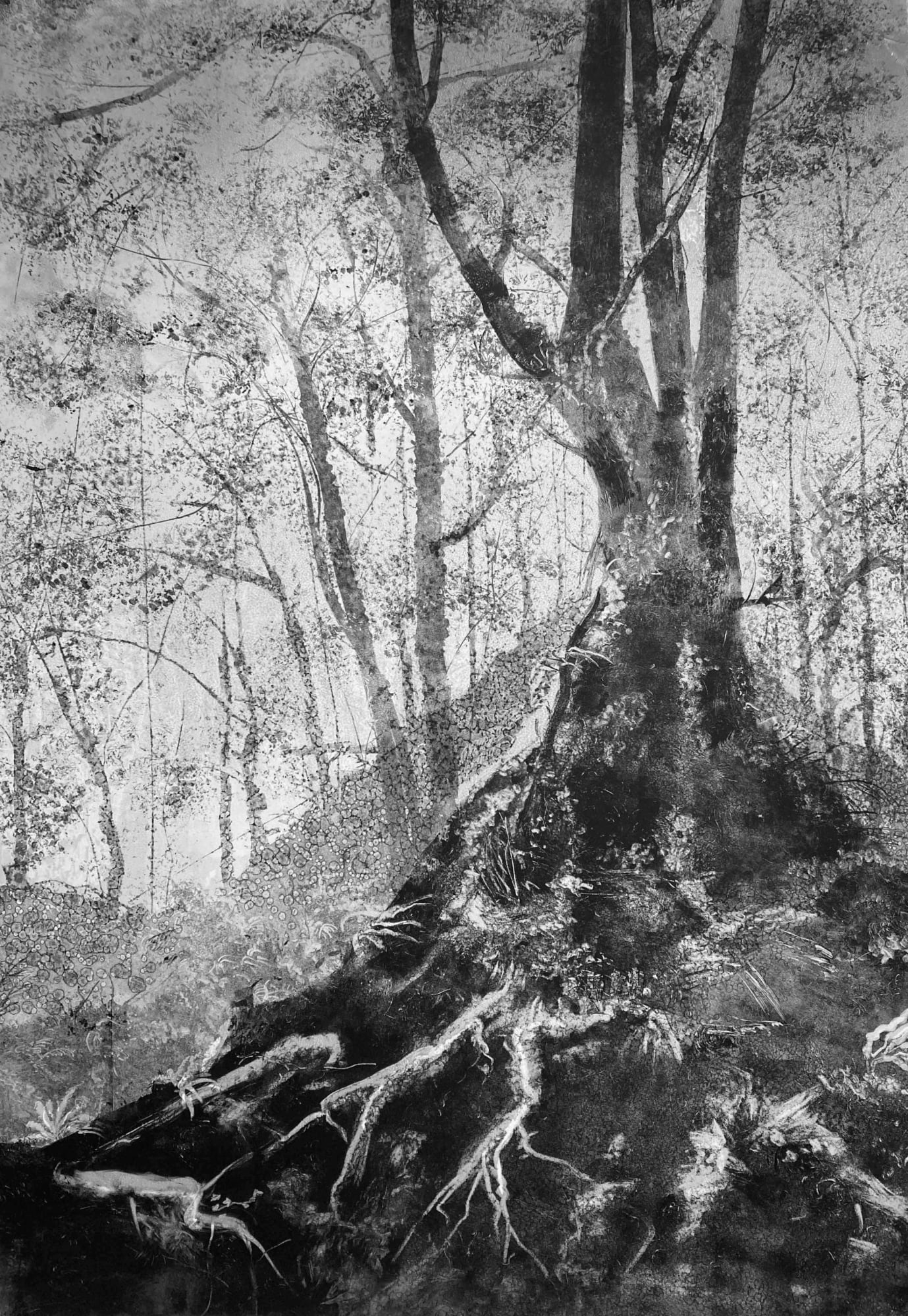 Fiona Fouhy, Protean Labyrinth, 2023