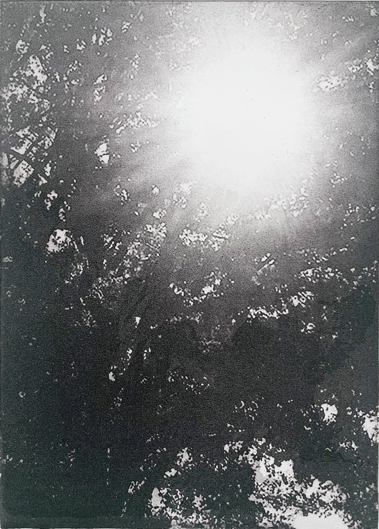 Summer Secret Bid Auction 2022, Bainbridge - Summer Days Past, 2022