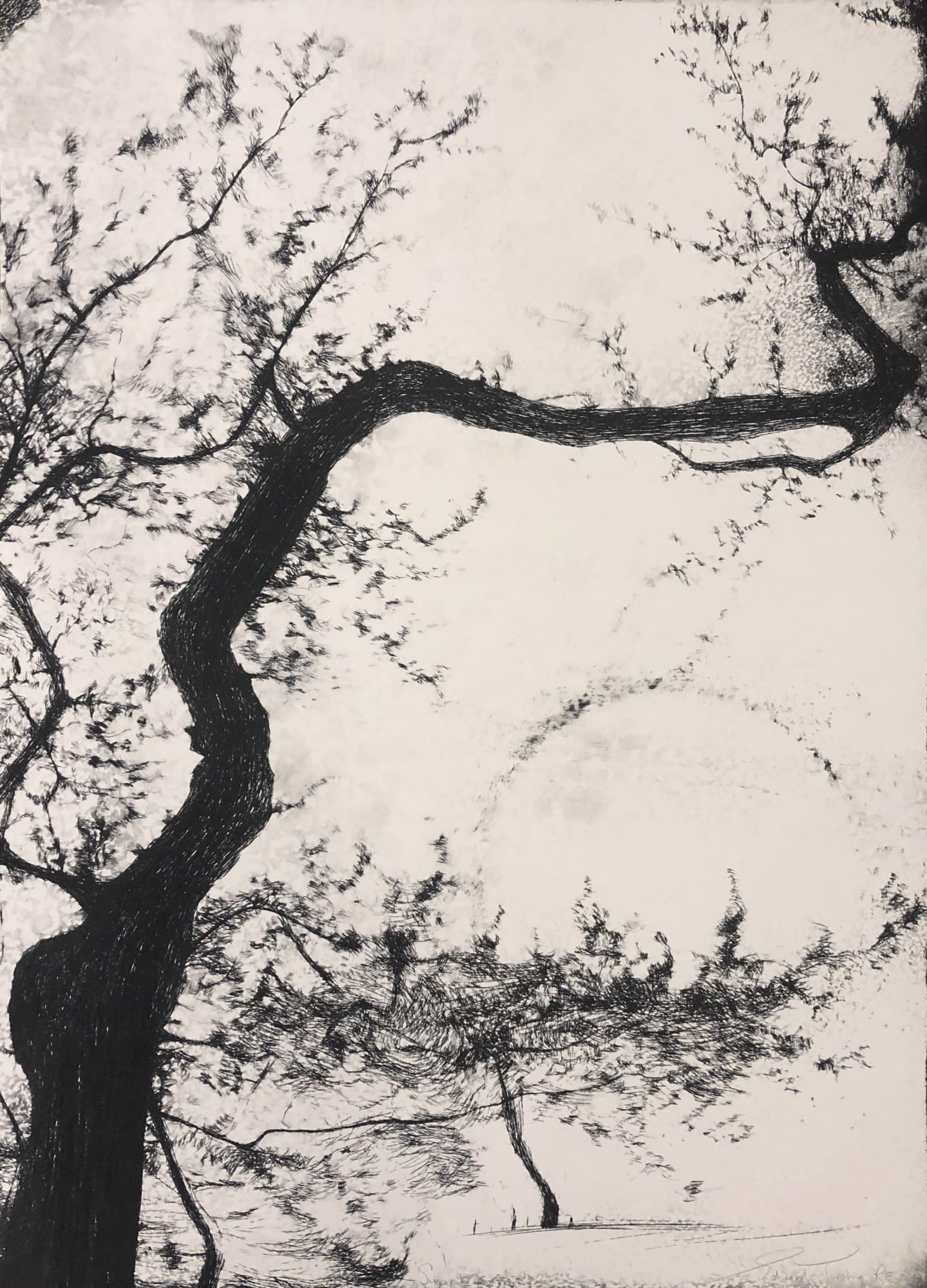 Edward Twohig, Super Moon 3.vii, 2020