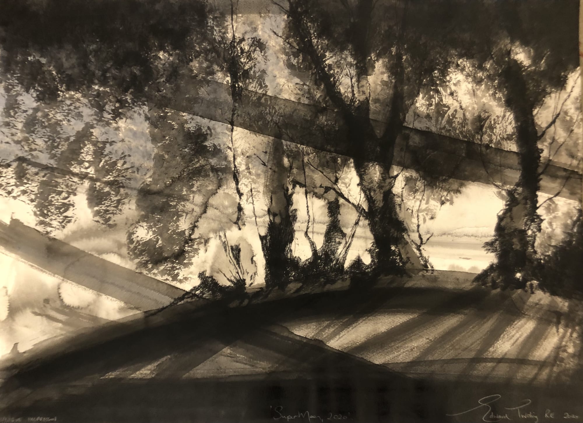 Edward Twohig, Super Moon 37.ii, 2020