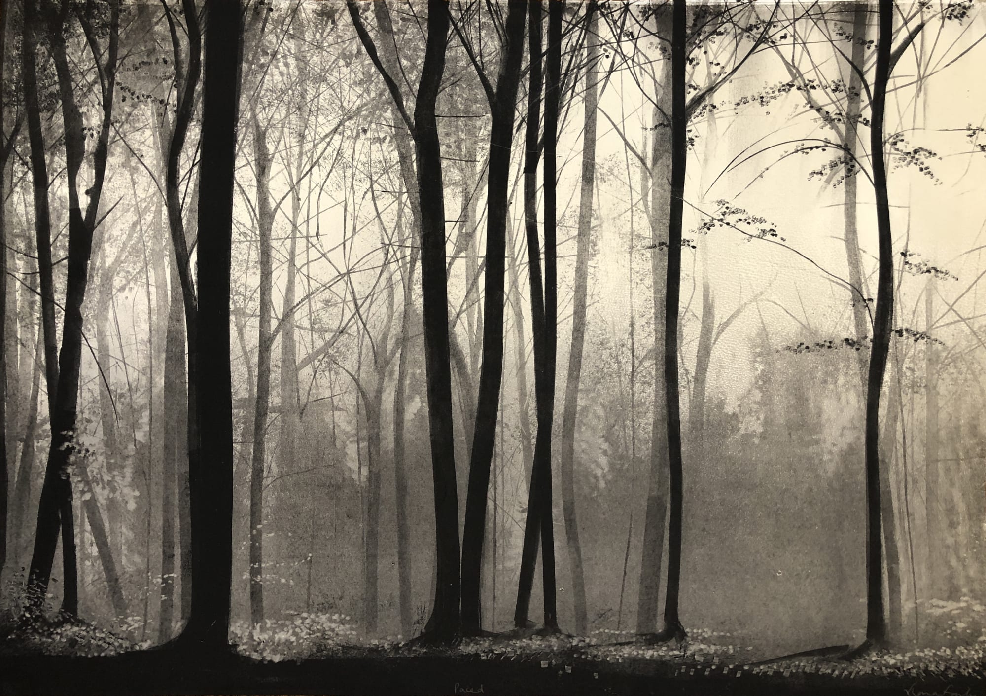 Fiona Fouhy, Paced, 2022