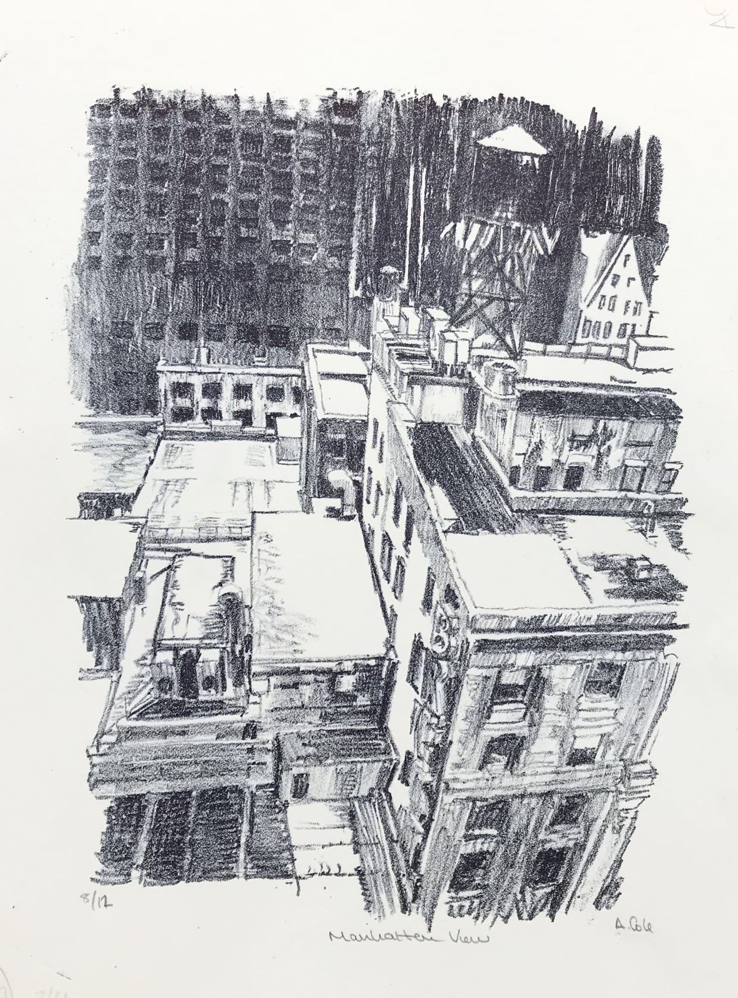 Austin Cole, Manhattan View, 2006