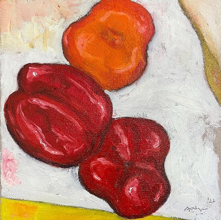 Christmas Secret Bid Auction , LOT XX: Ardyn Halter - Red and Orange, 2022