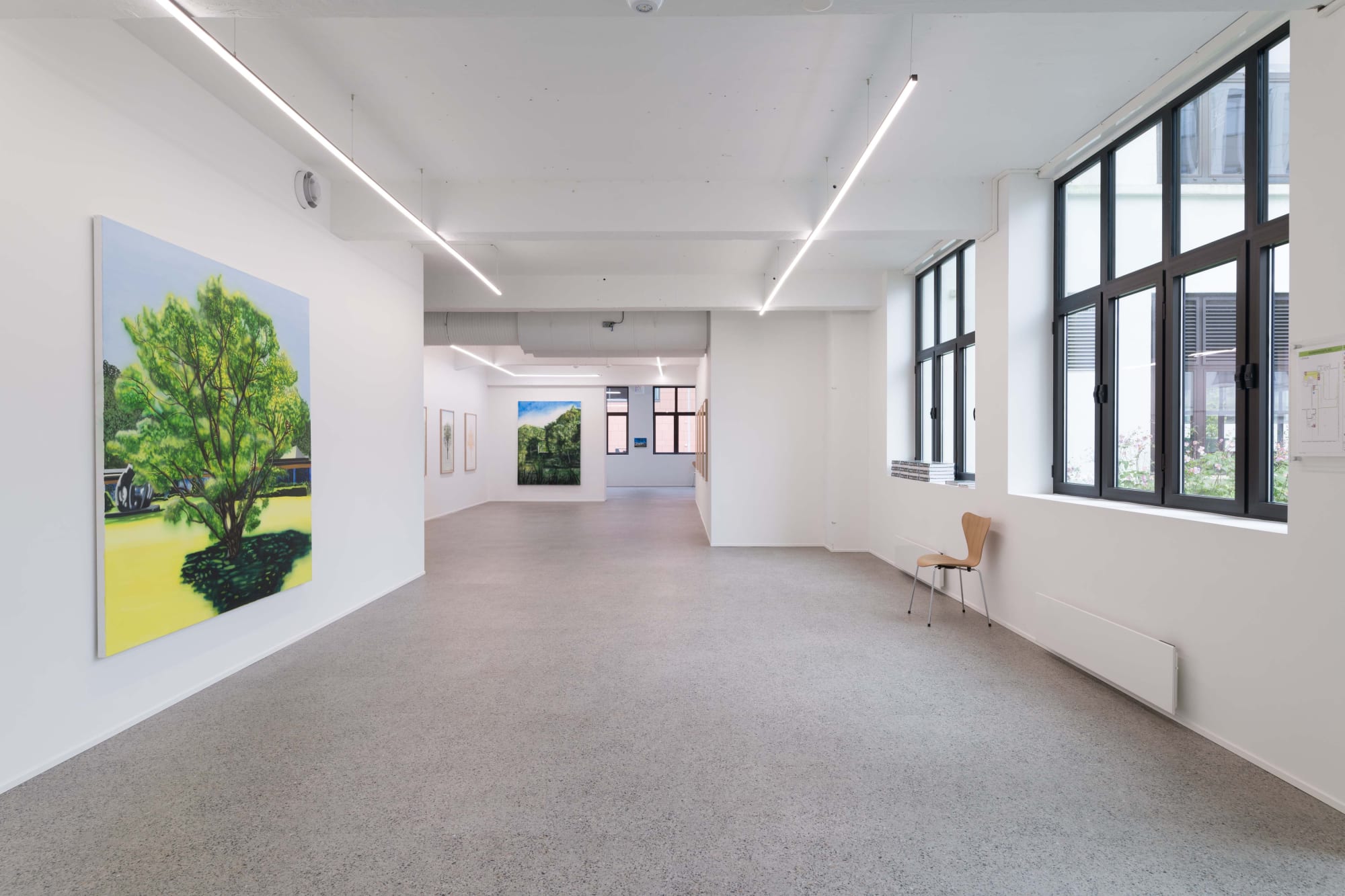 Fluid Spaces: Eamon O'Kane