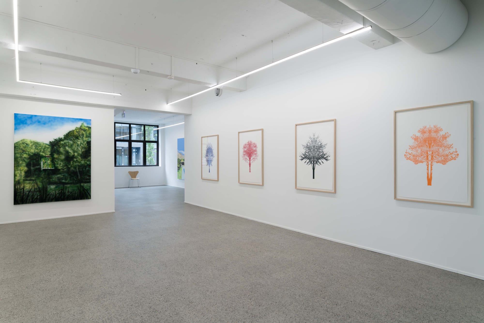 Fluid Spaces: Eamon O'Kane