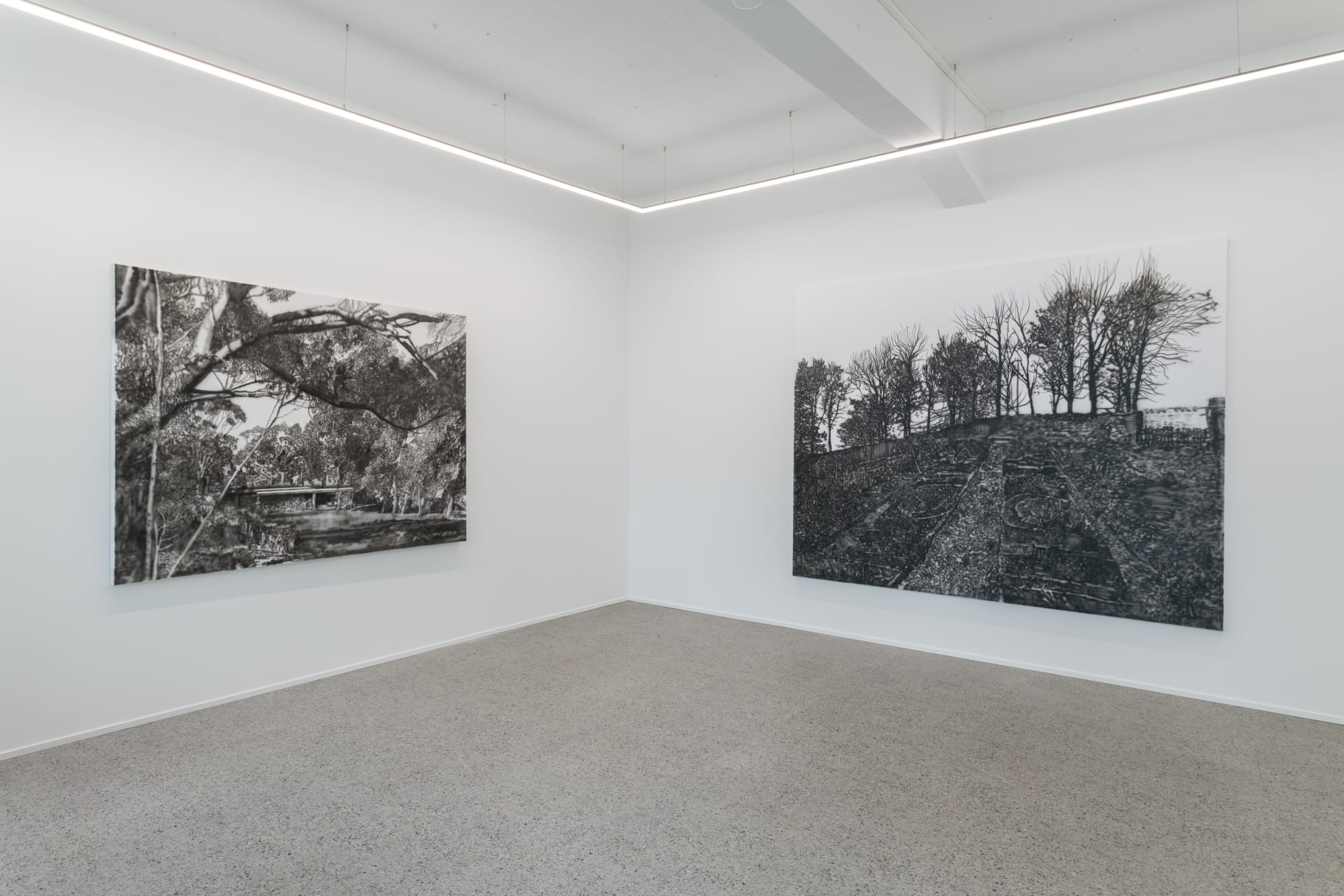 Fluid Spaces: Eamon O'Kane