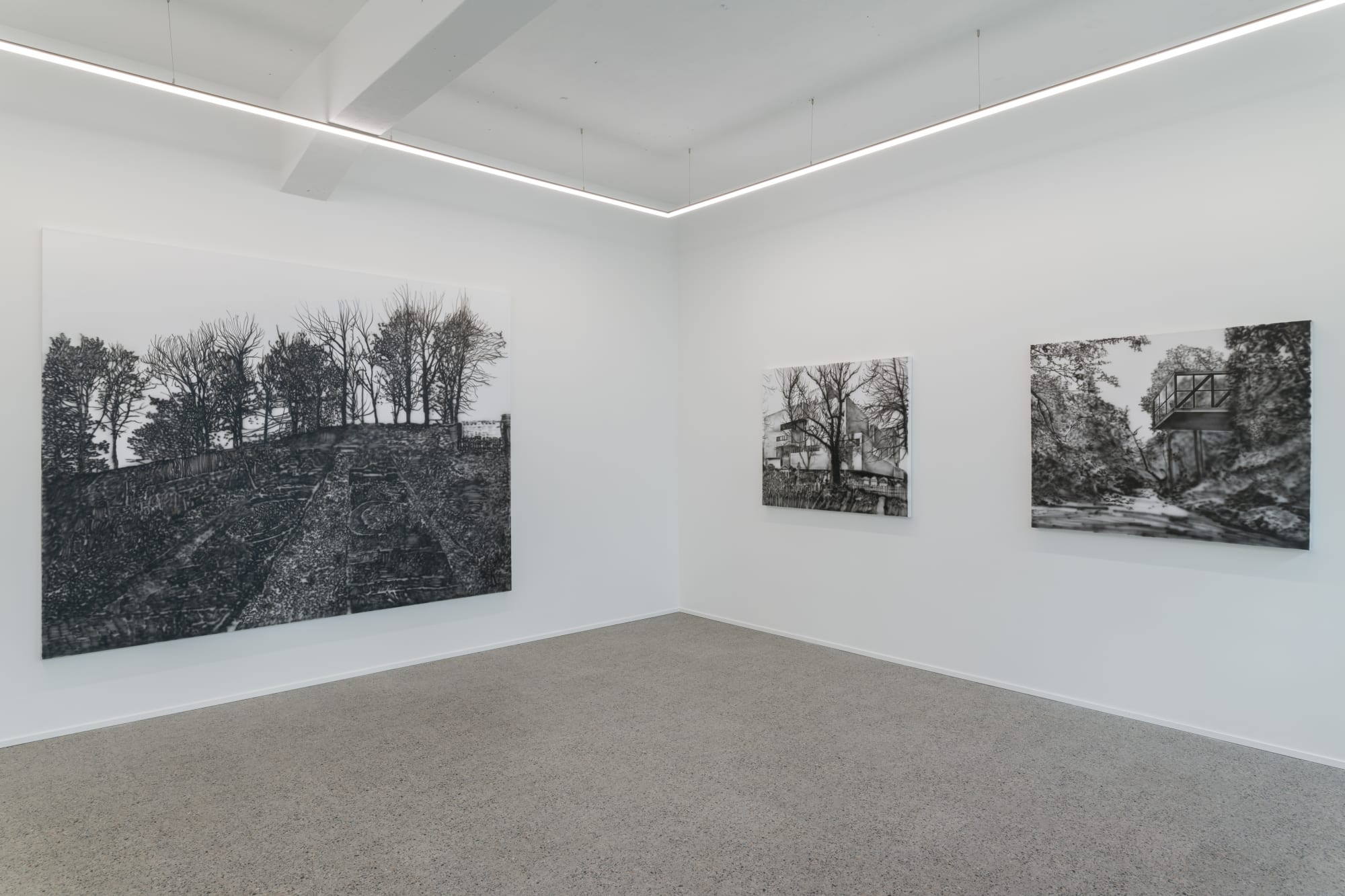 Fluid Spaces: Eamon O'Kane