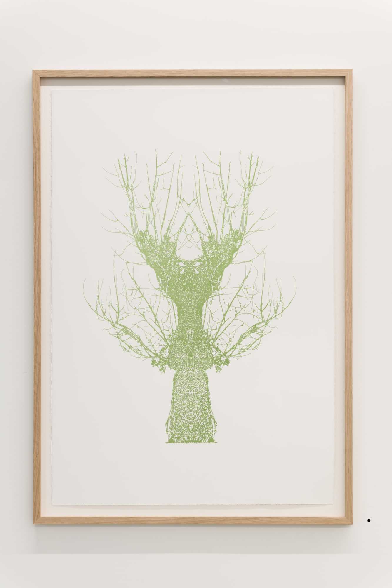 Fluid Spaces: Eamon O'Kane