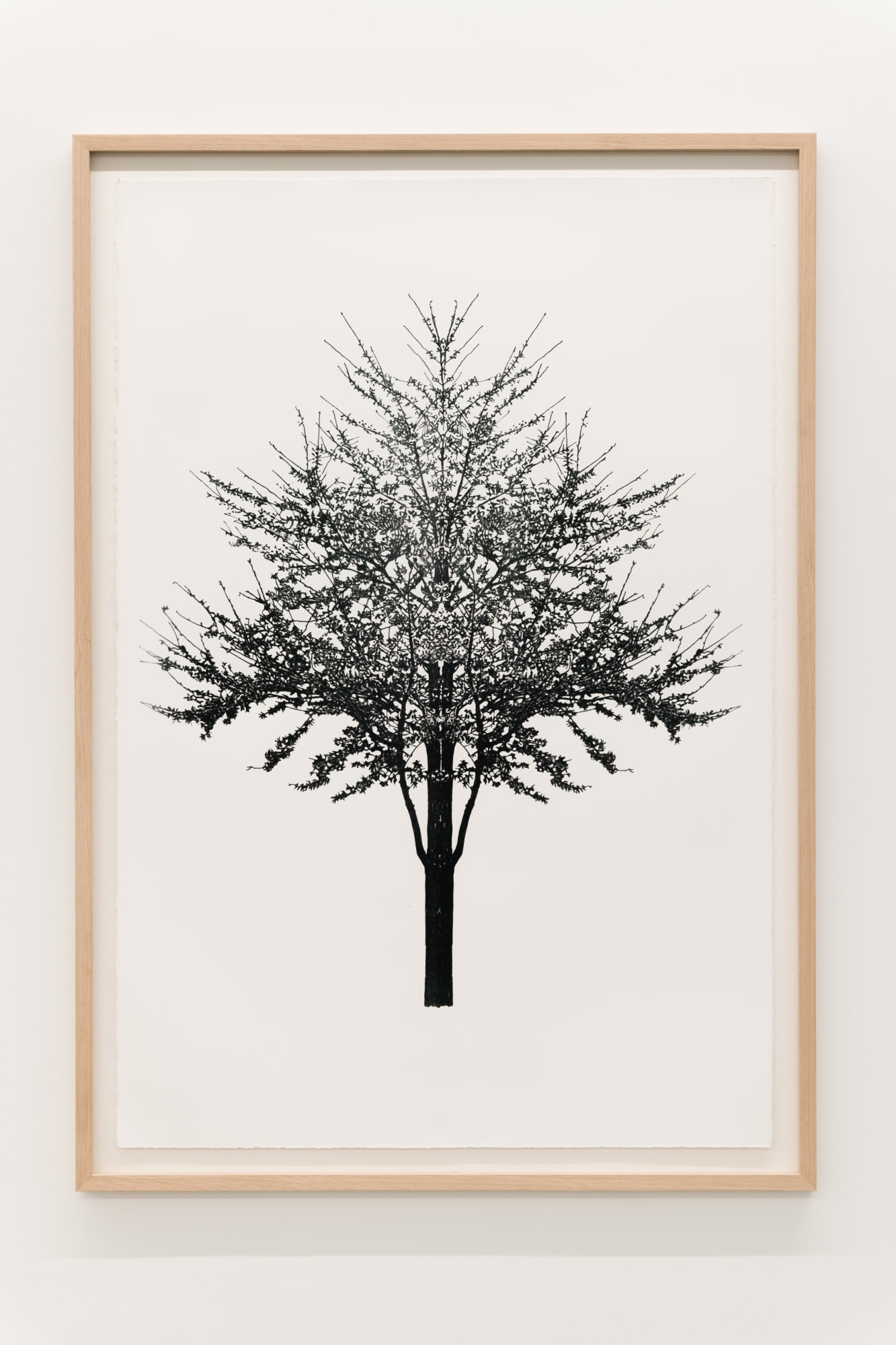 Fluid Spaces: Eamon O'Kane