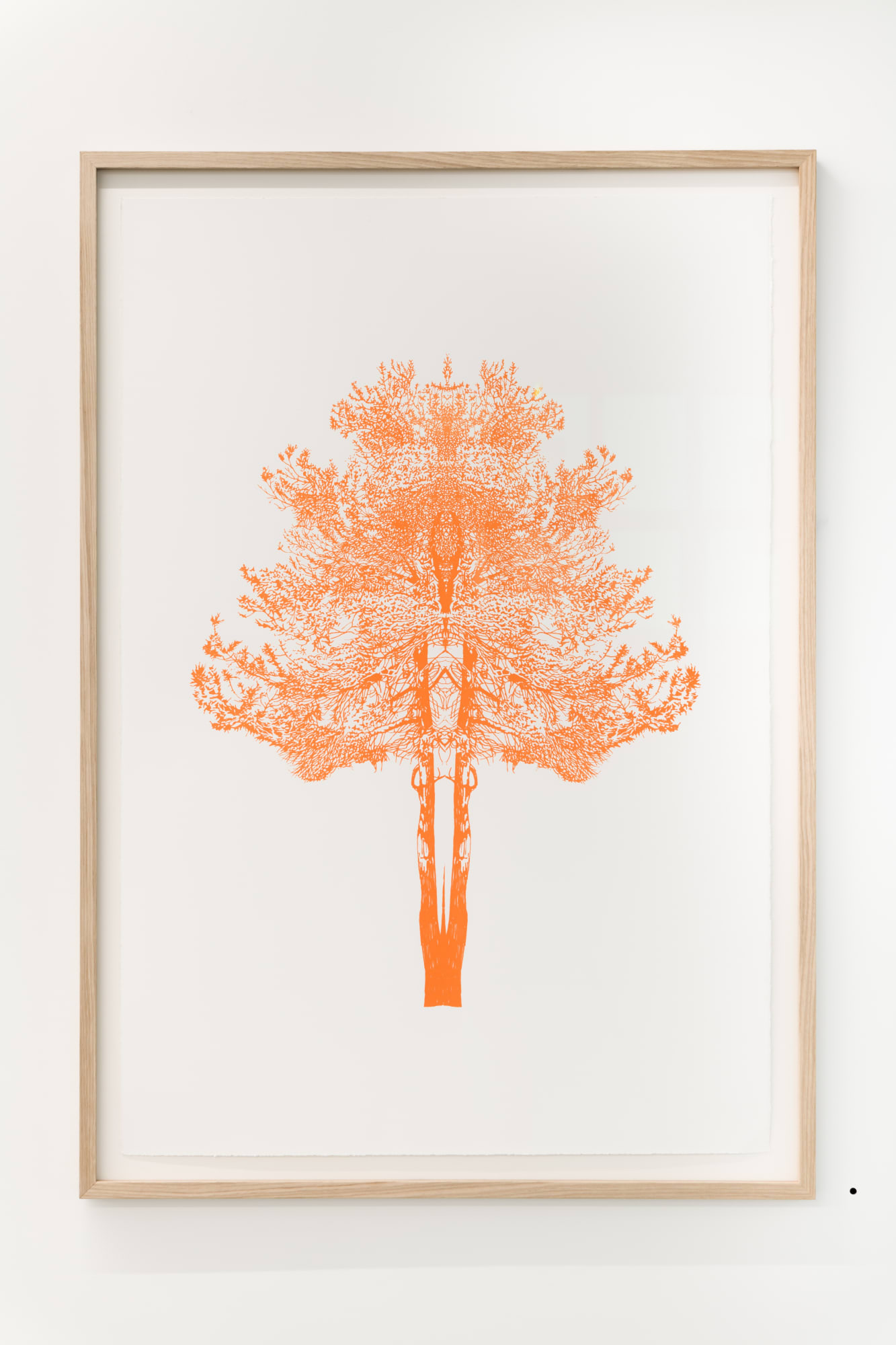 Fluid Spaces: Eamon O'Kane