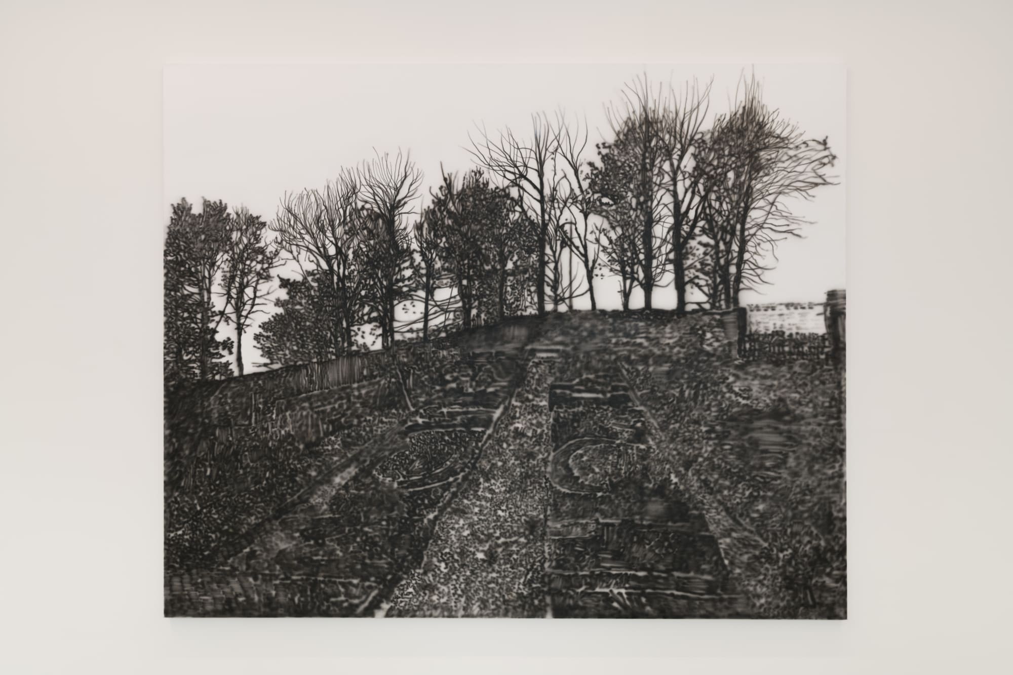 Fluid Spaces: Eamon O'Kane