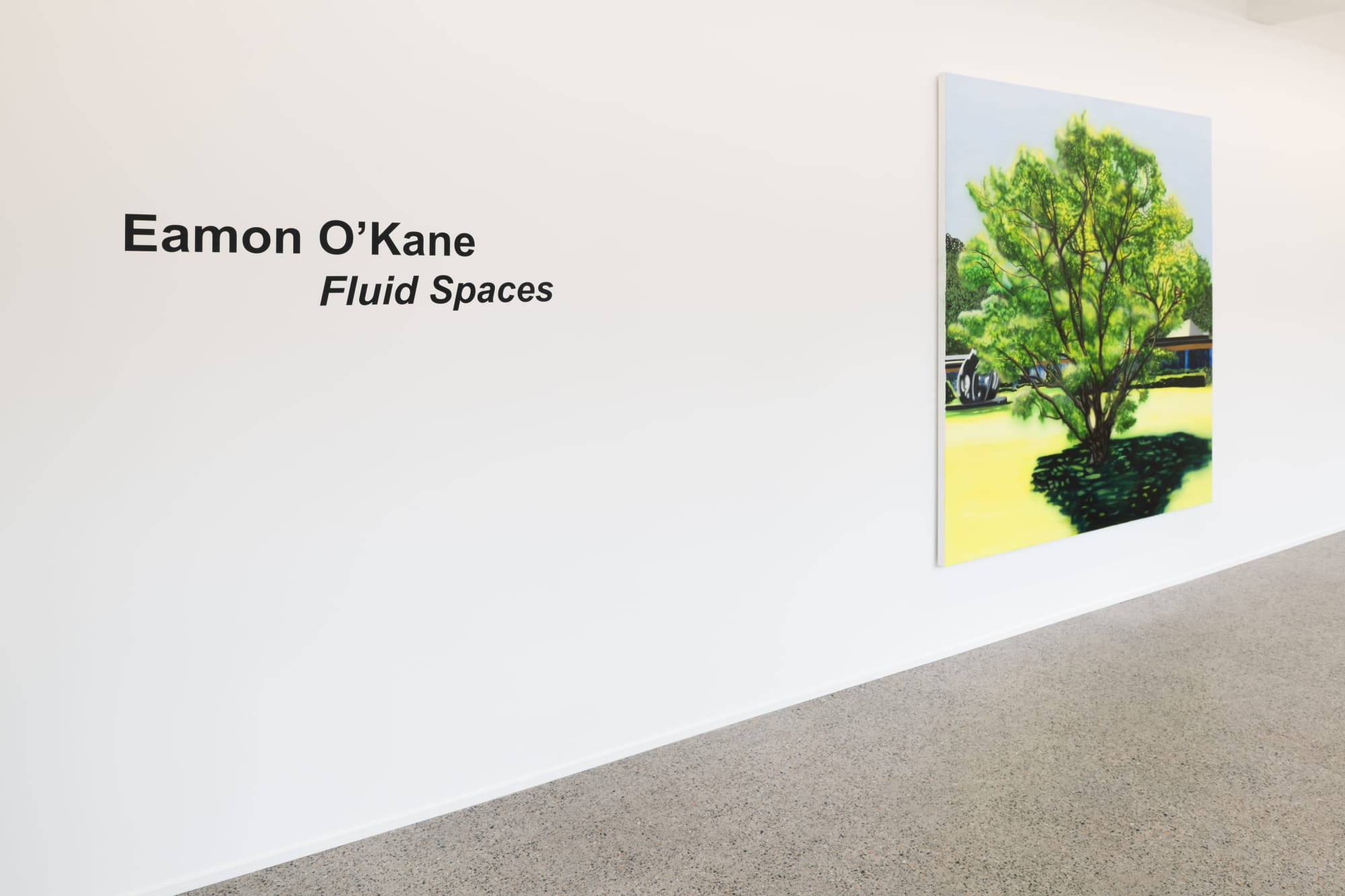 Fluid Spaces: Eamon O'Kane