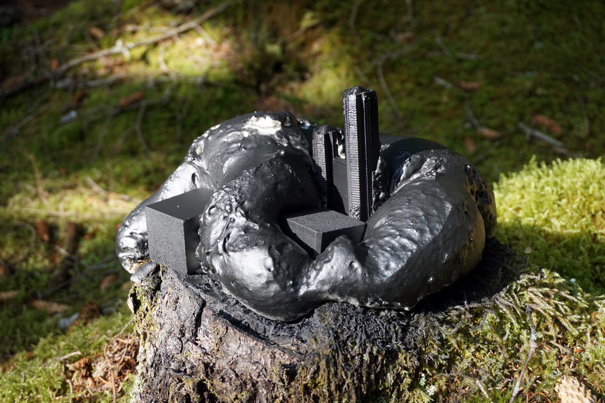 A path is a thought stretched out in time and space