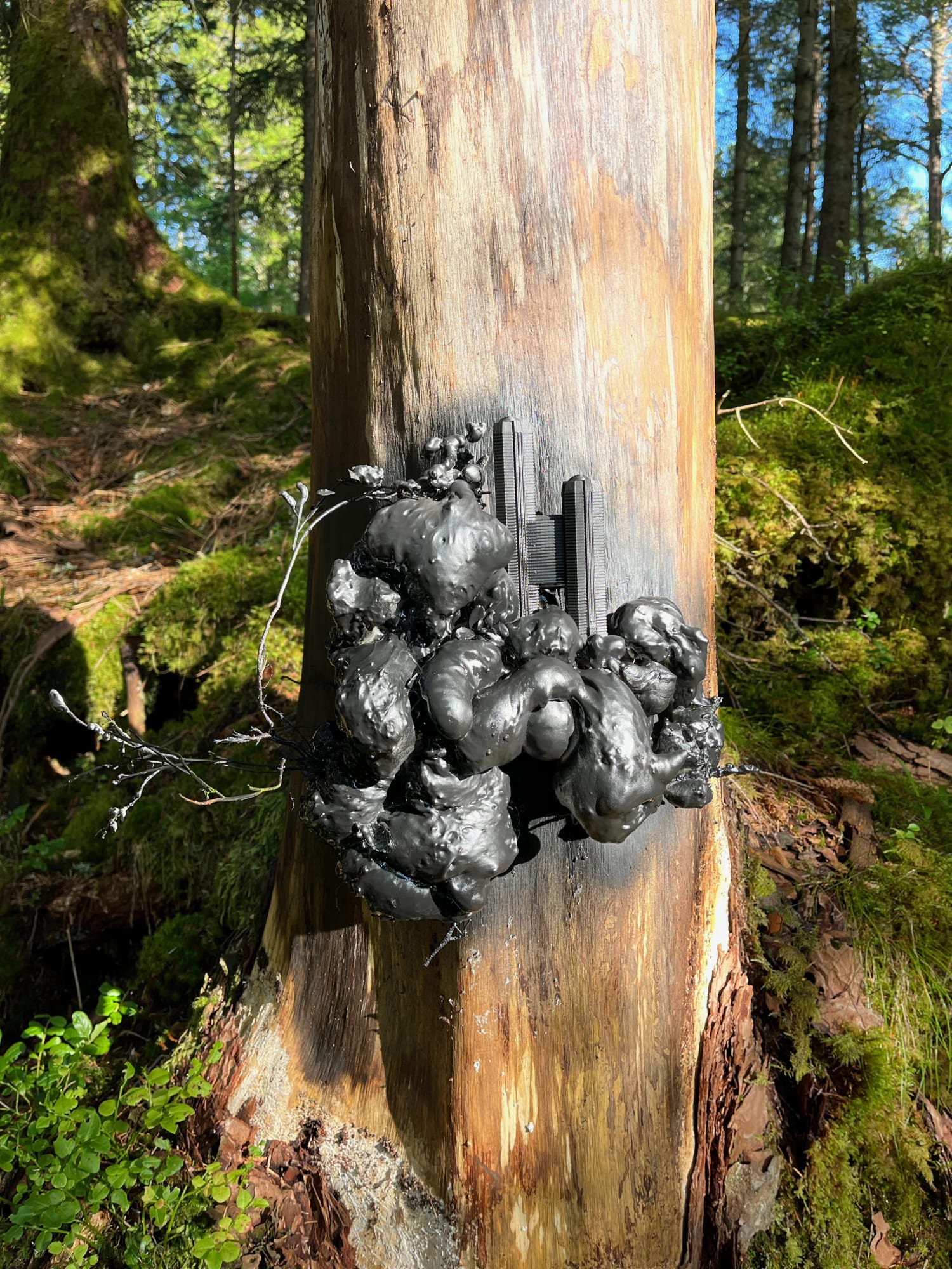 A path is a thought stretched out in time and space