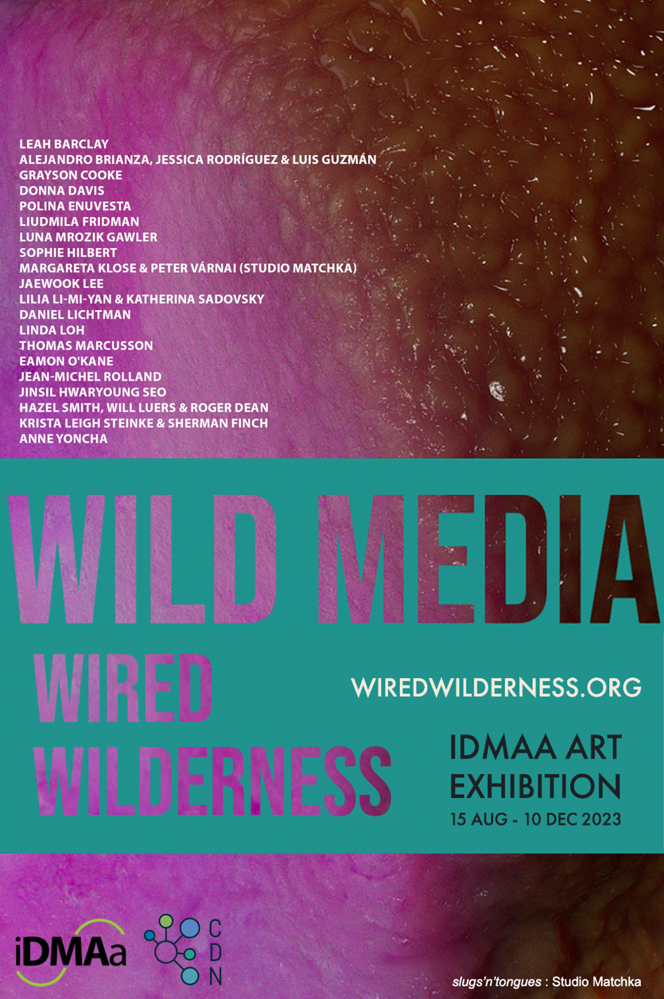 WILD MEDIA: Wired Wilderness