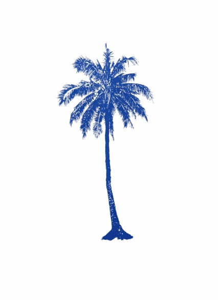 Magical Mystery Modernism