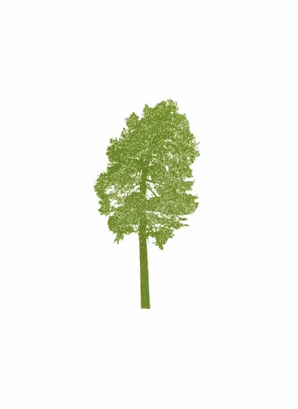 Magical Mystery Modernism