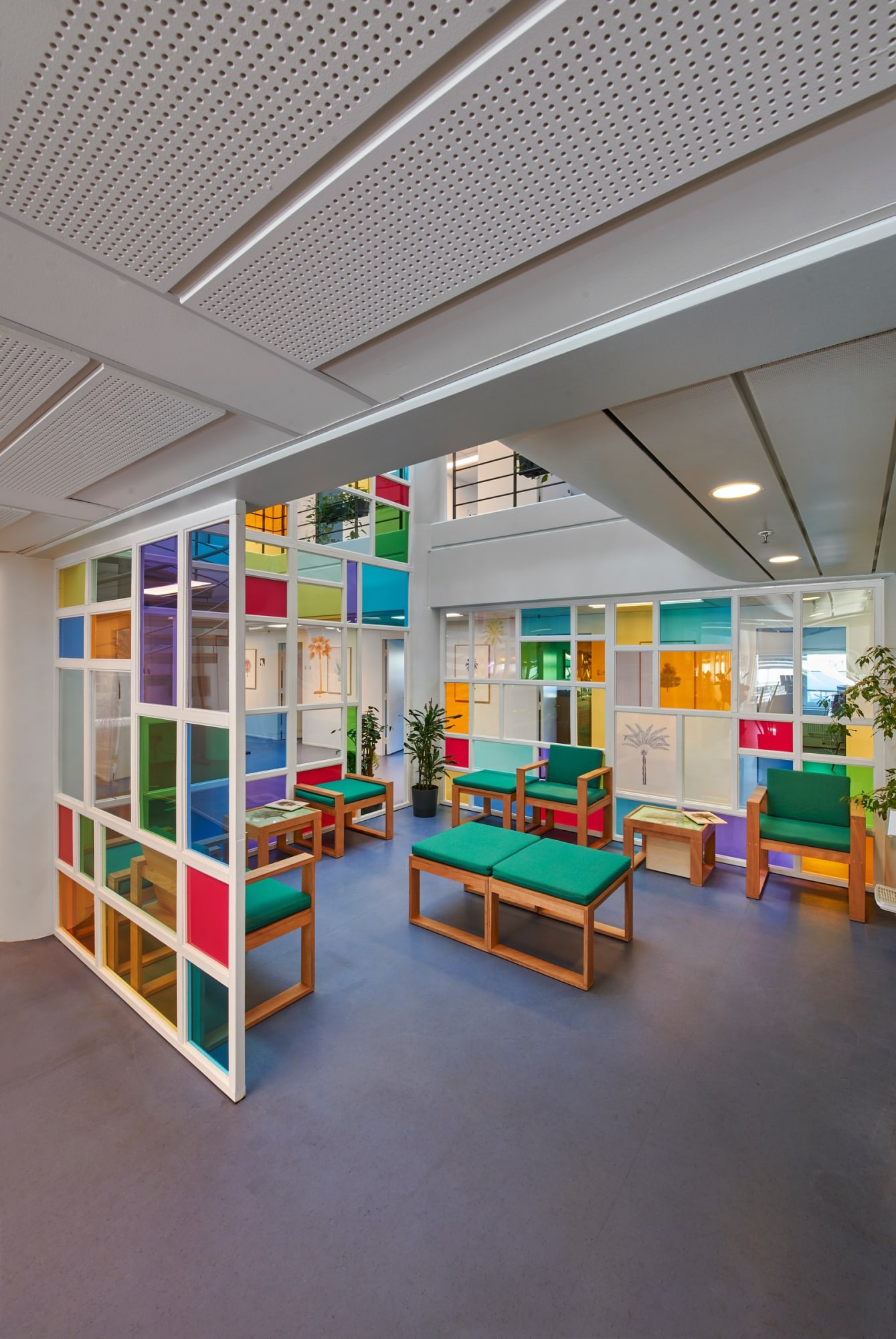 Tree Reflections (Public Commission)