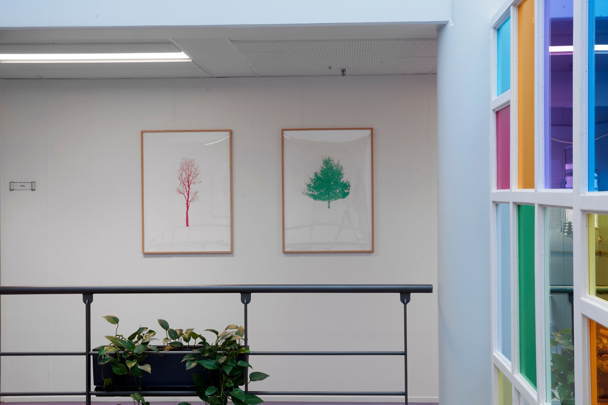 Tree Reflections (Public Commission)