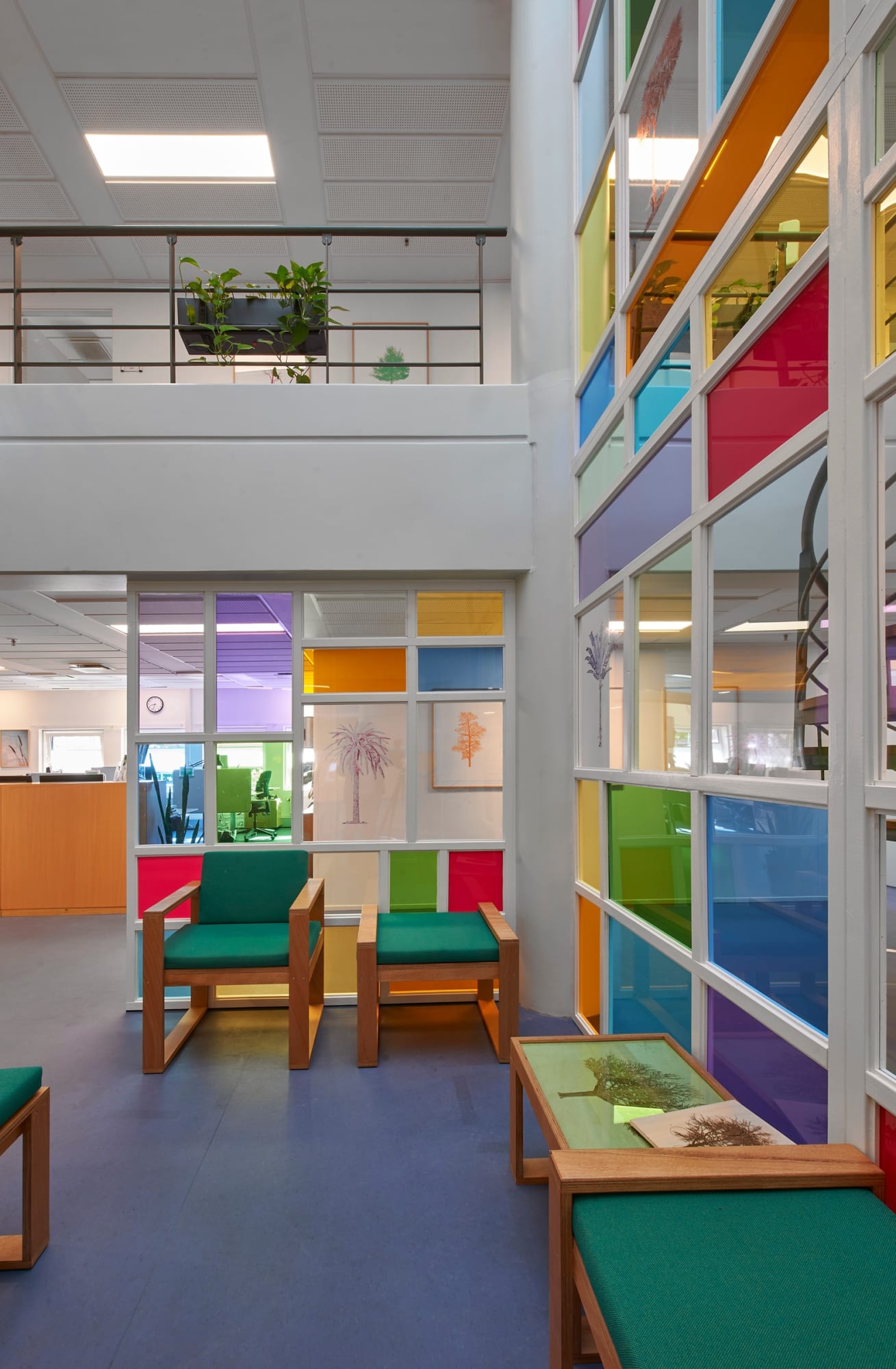 Tree Reflections (Public Commission)