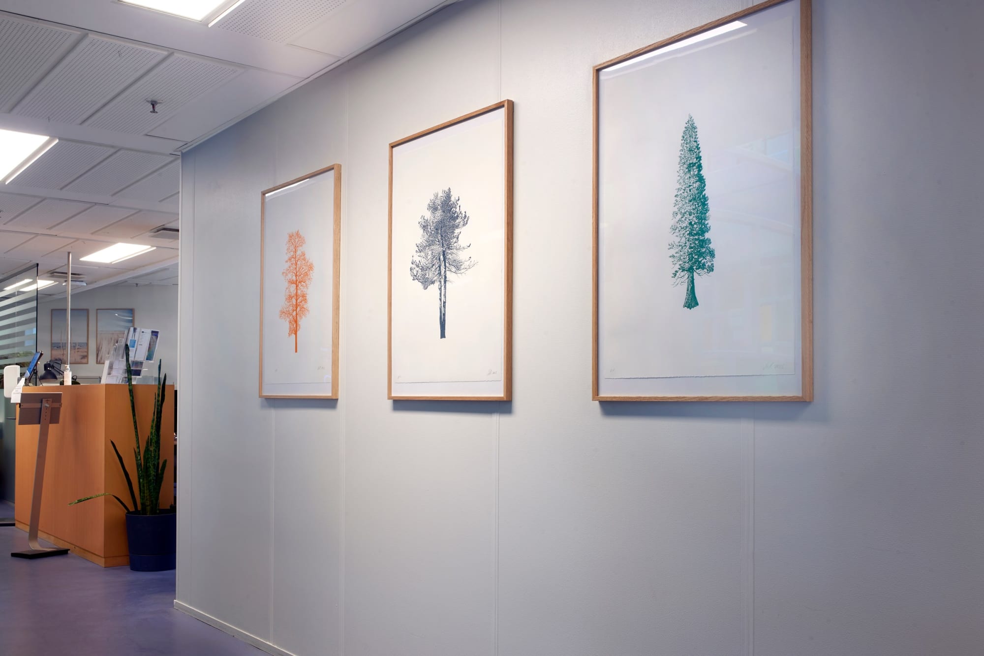 Tree Reflections (Public Commission)