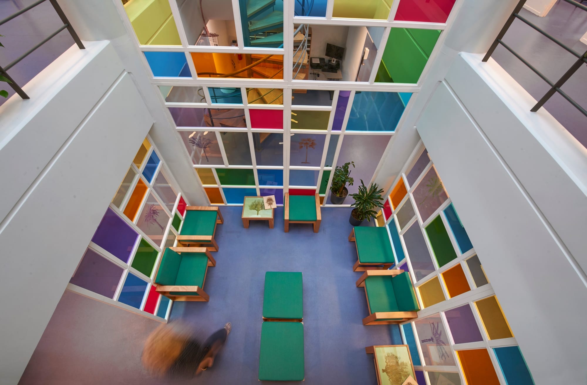 Tree Reflections (Public Commission)