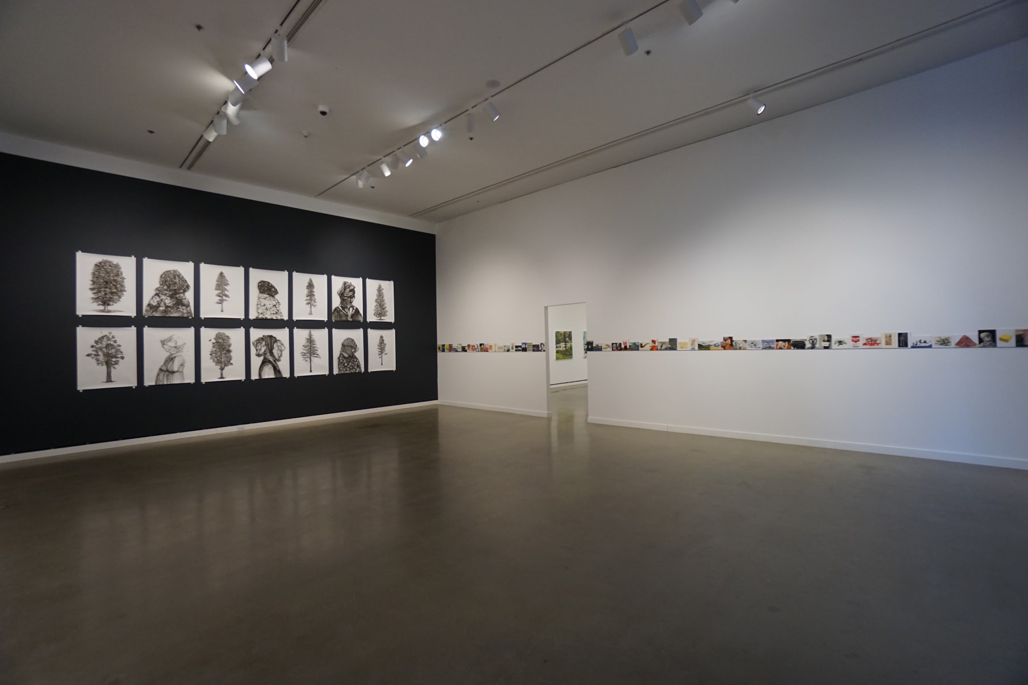 Intimate Expansive, Rochester Art Center, Minnesota, Jan 18, 2018 - May 27, 2018