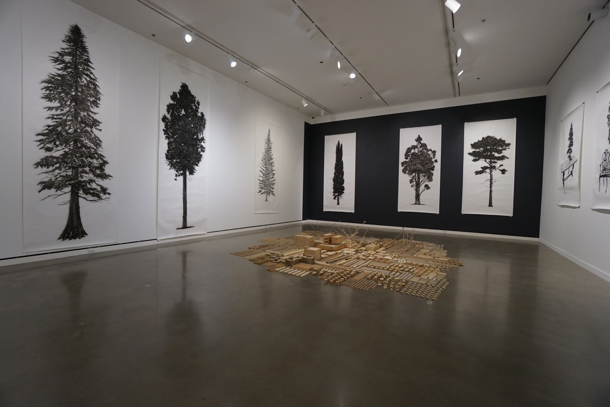 Intimate Expansive, Rochester Art Center, Minnesota, Jan 18, 2018 - May 27, 2018